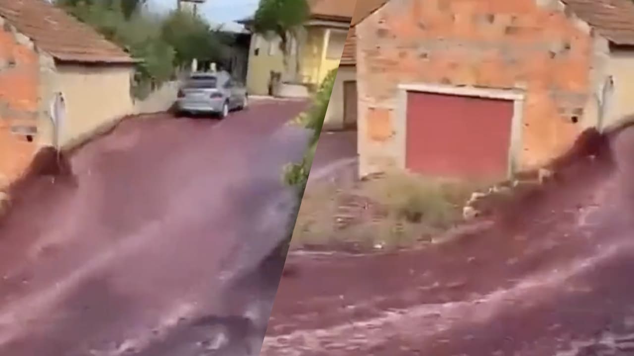 Video: Rivier van 2,2 miljoen liter rode wijn stroomt door Portugees dorp