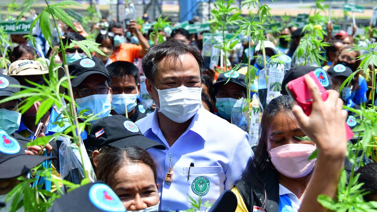 Thailand deelt meer dan miljoen gratis wietplantjes uit