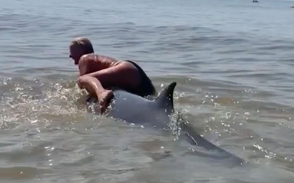Vrouw die bij Zandvoort dolfijn beklom is aangehouden 