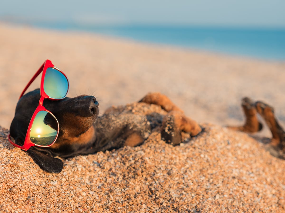 10 gedachten die iedereen heeft op vakantie