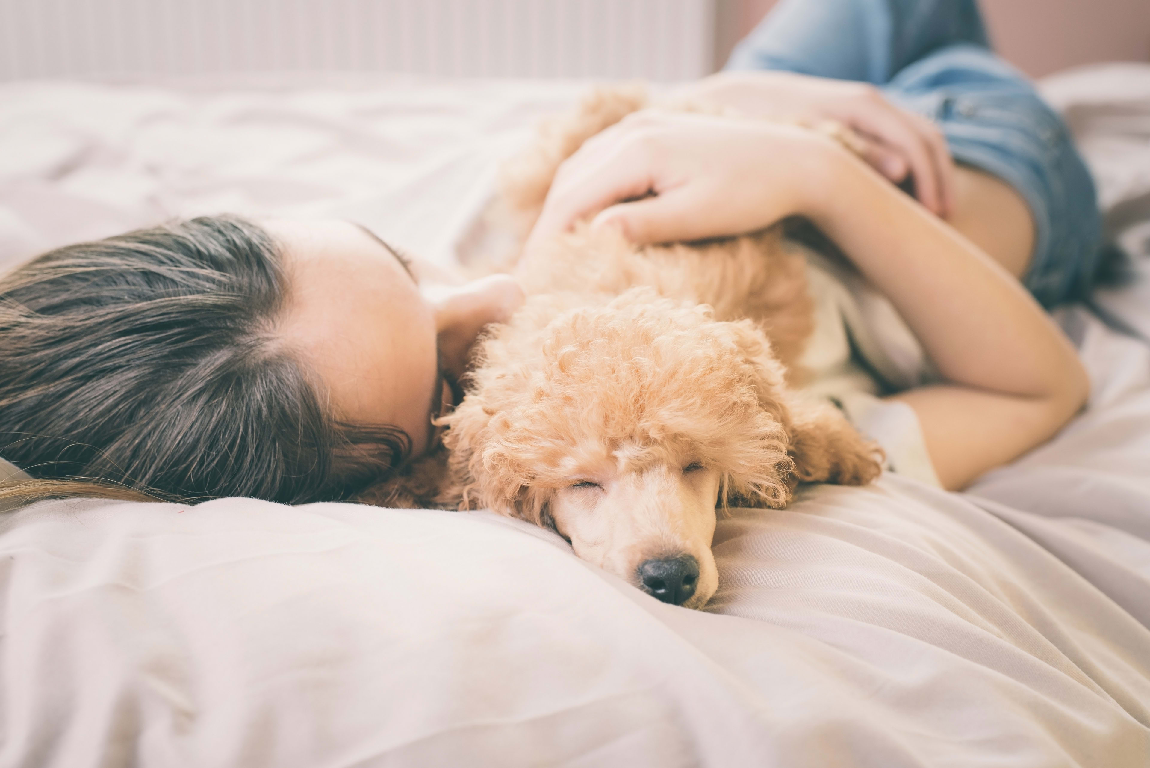 Naast je hond slapen is goed voor je!