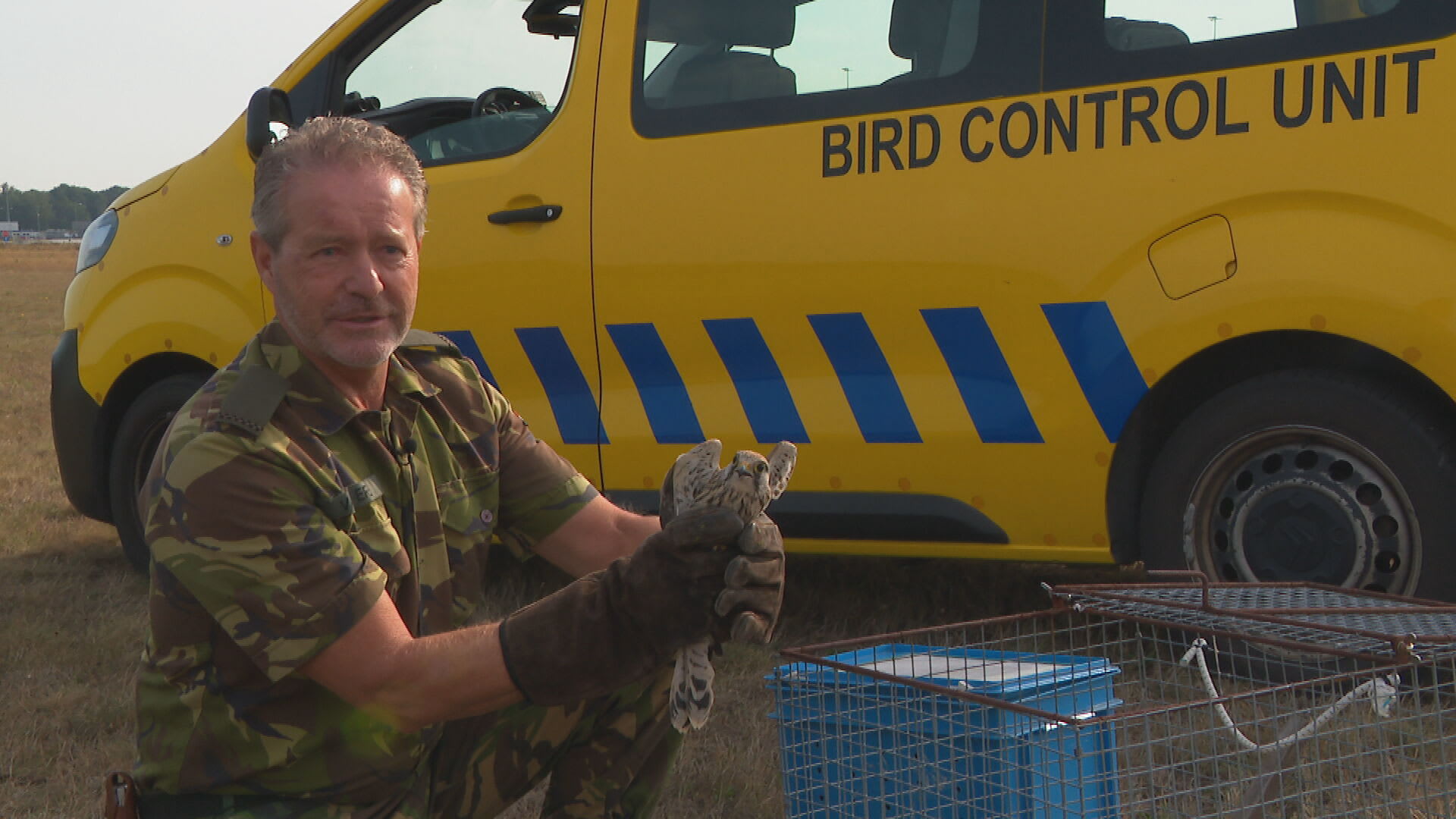 Ad verjaagt vogels om botsingen met vliegtuigen te voorkomen