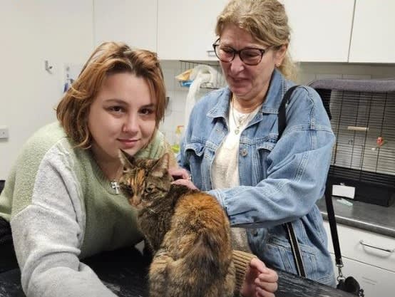 Vermiste poes Zoë duikt drie weken later en 75 kilometer van huis op met brandwonden