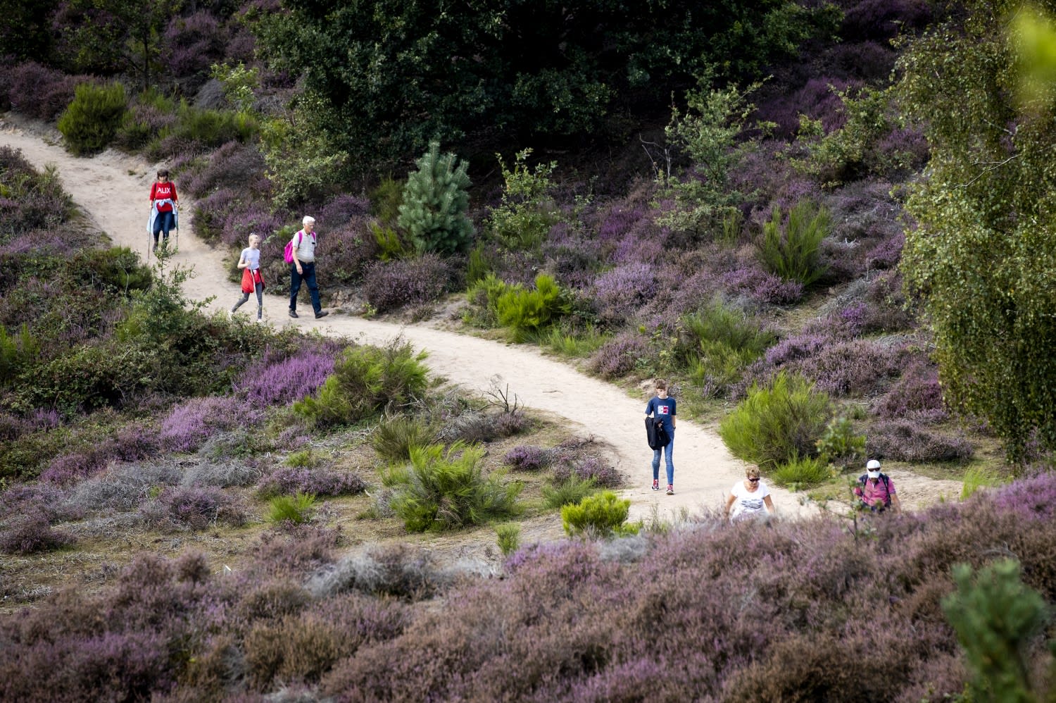 Dit weekend grote drukte verwacht in natuurgebieden: 'Kom niet met de auto'