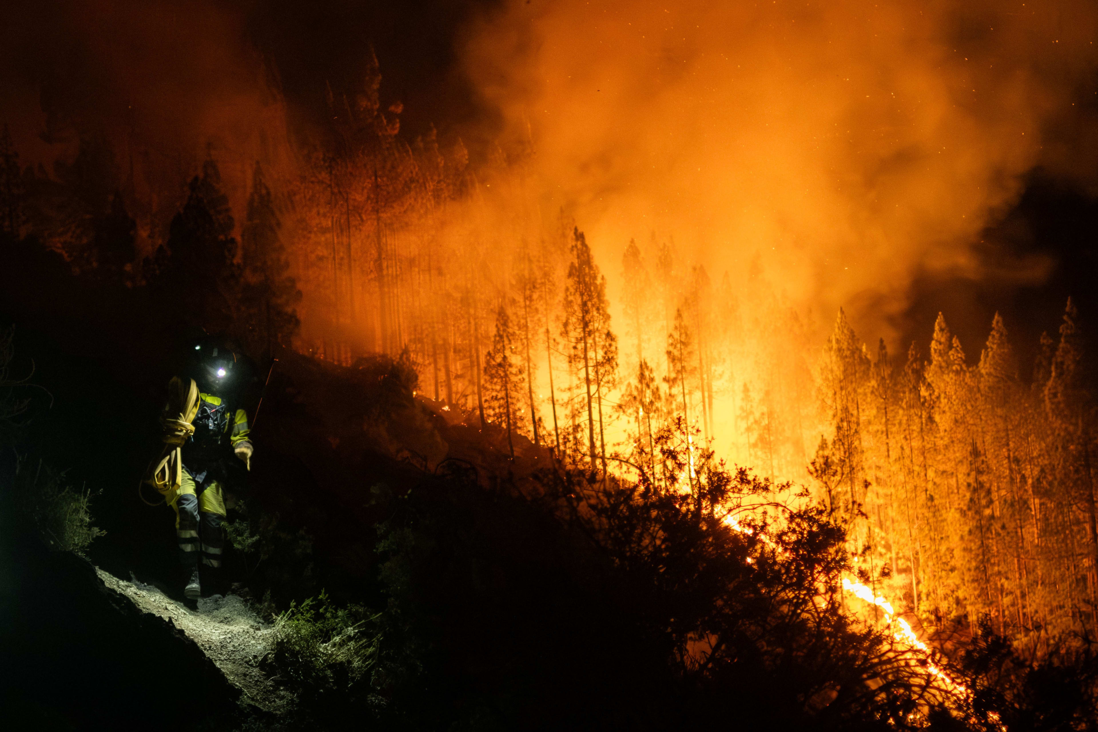 Grote natuurbrand op Tenerife wint steeds meer terrein: 'De vooruitzichten zijn niet positief'