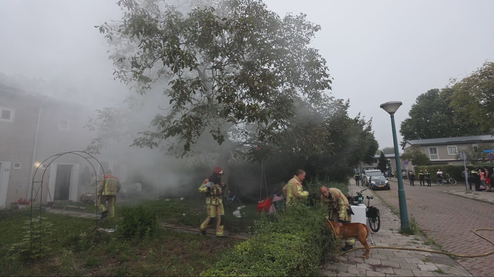 Hond uit woning gered bij uitslaande brand Eindhoven