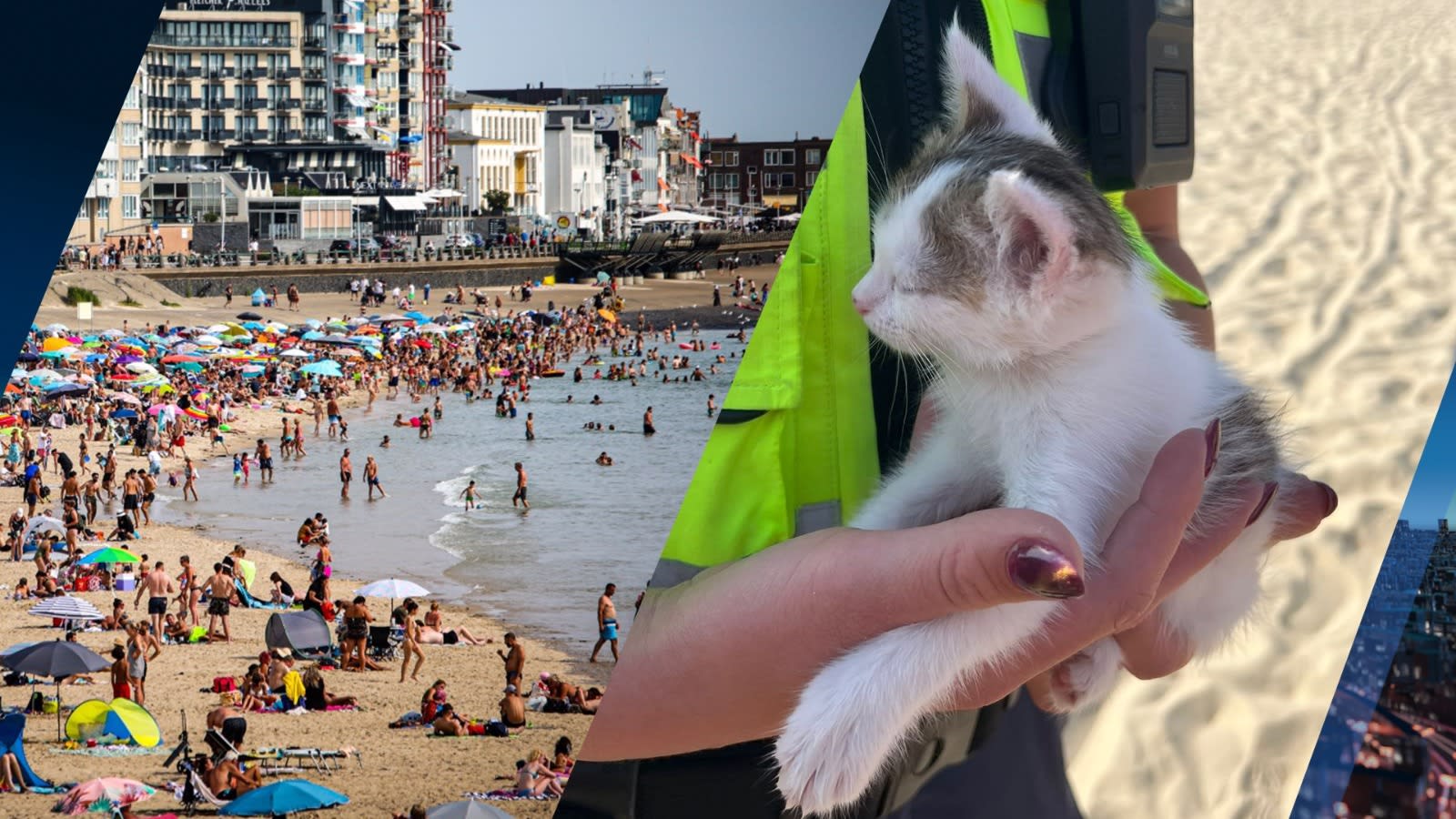 Kinderen gooien met kitten op Zeeuws strand: 'Alsof het een bal was'