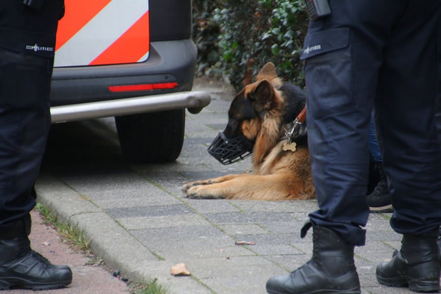 Politie zoekt eigenaren van hond die hardloopster beet in 't Harde