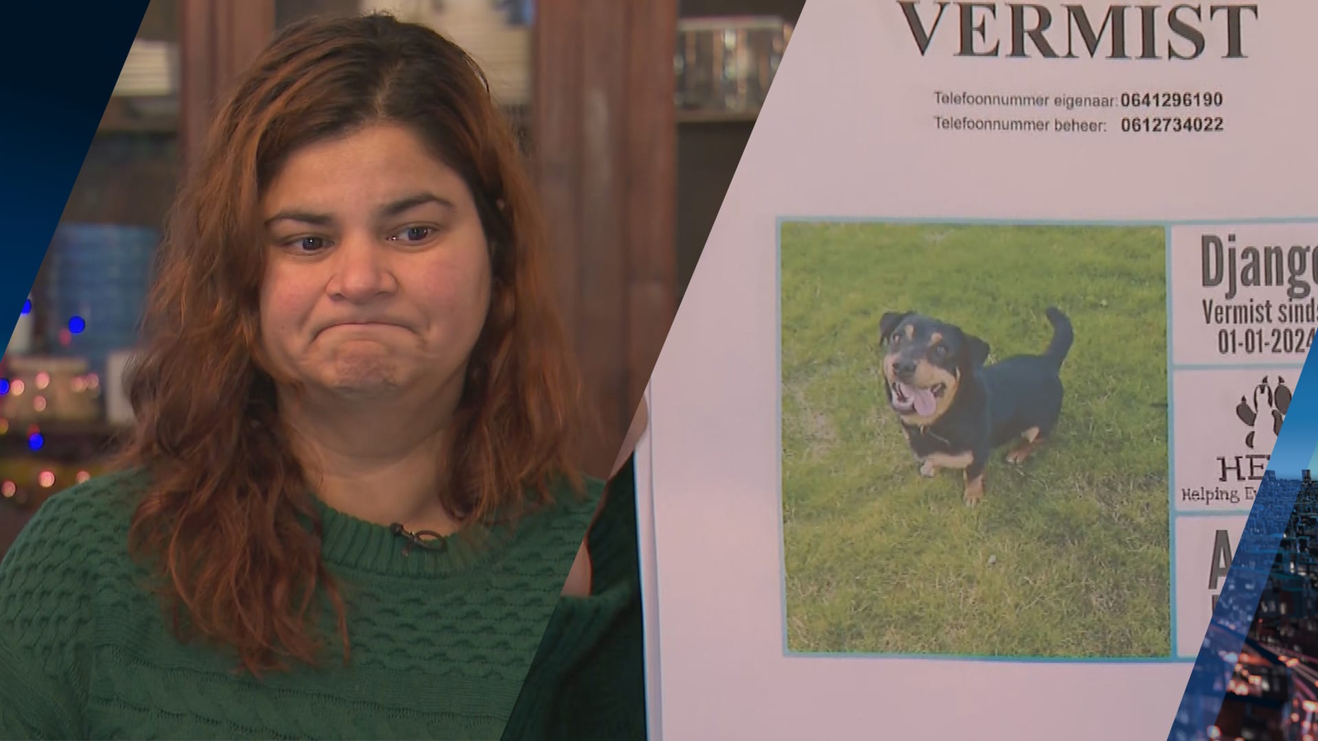 Bianca's hond is al een week weg nadat hij schrok van vuurwerk: 'Slaap niet meer'