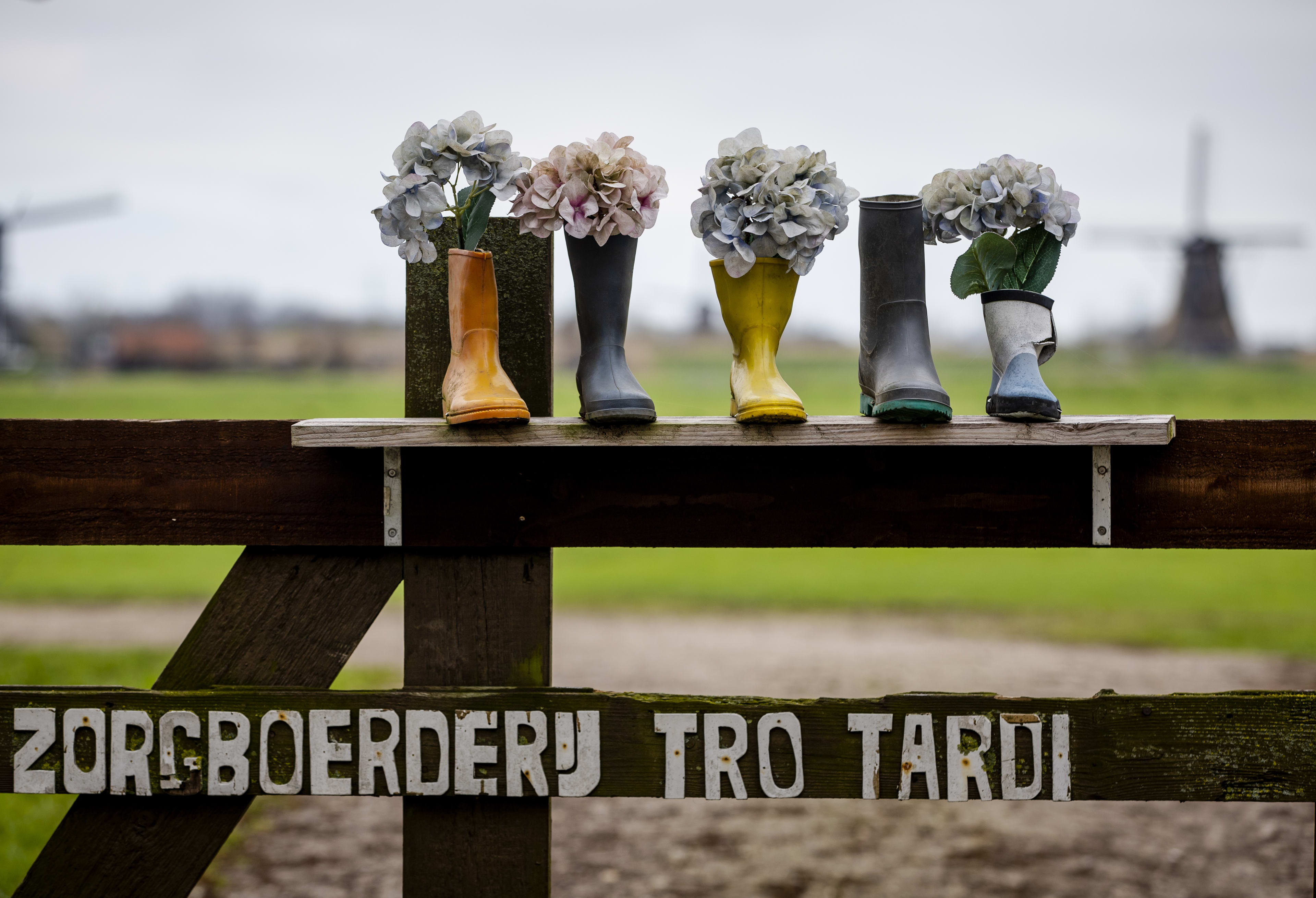 Verdachte schietpartij zorgboerderij Alblasserdam: 'Beelden van doden mensen zitten al jaren in mijn hoofd'