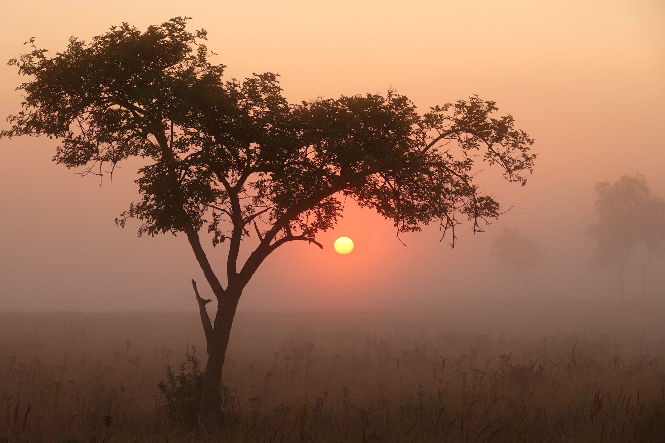 Dit weekend weer volop zomerweer: zondag mogelijk 30 graden