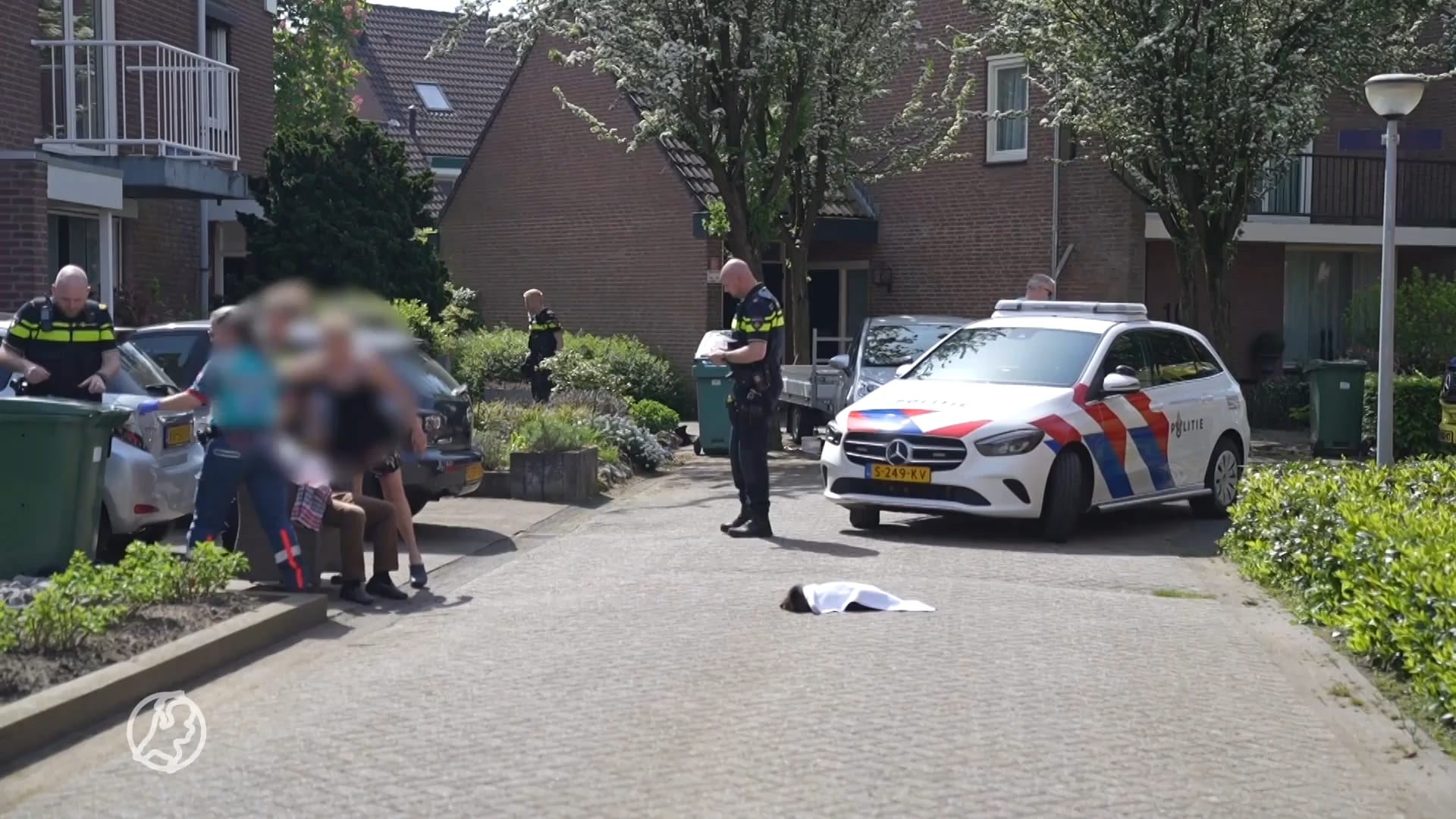 Aangereden hond bijt helpende vrouw na ongeluk in Weert: dier overleeft botsing niet