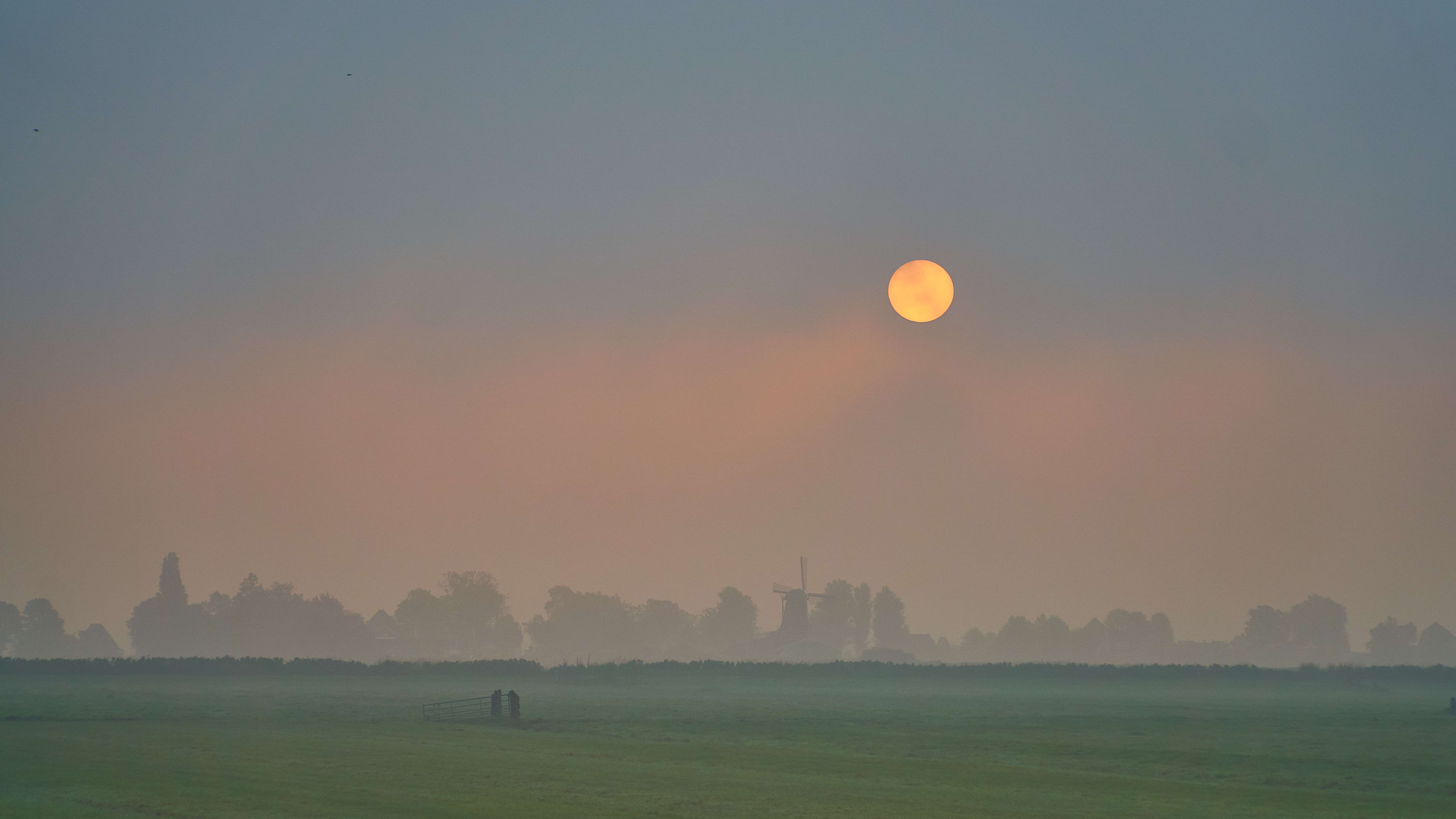 Pas op: volgende week veel mist verwacht, meteoroloog waarschuwt | Hart