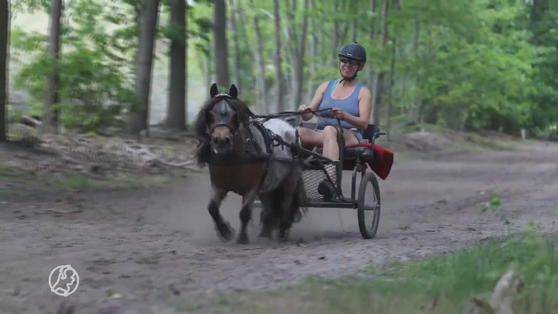 Na bijna 30 jaar valt het doek voor de Eper Paardenvierdaagse