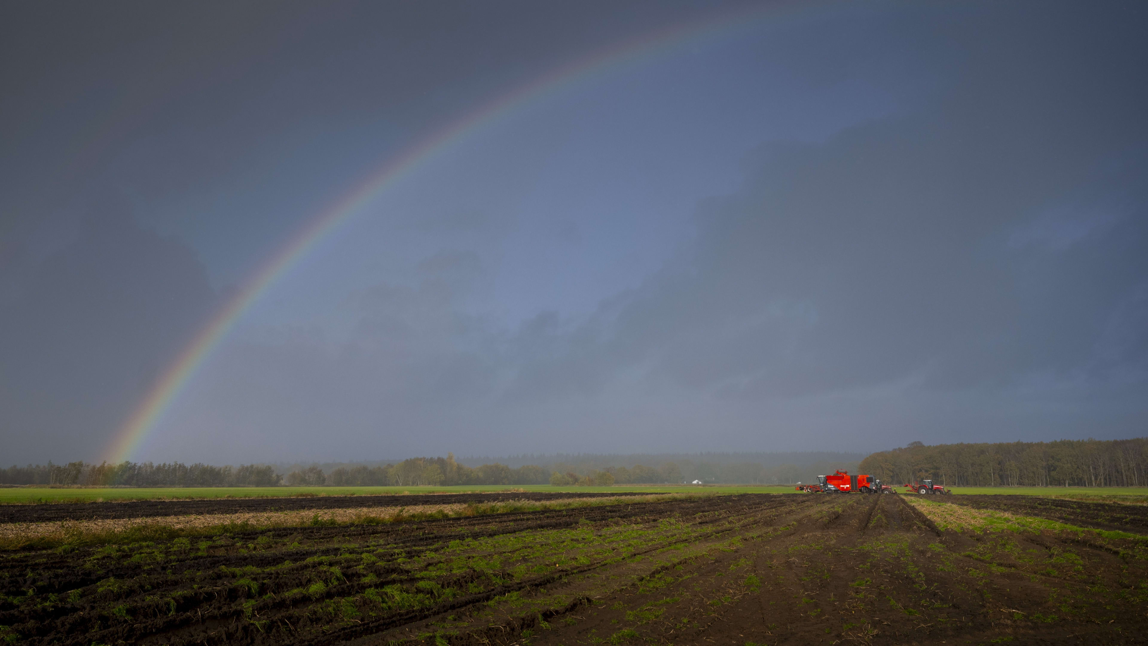 Even doorbijten: komende dagen wisselen zon, wolken en regen elkaar af