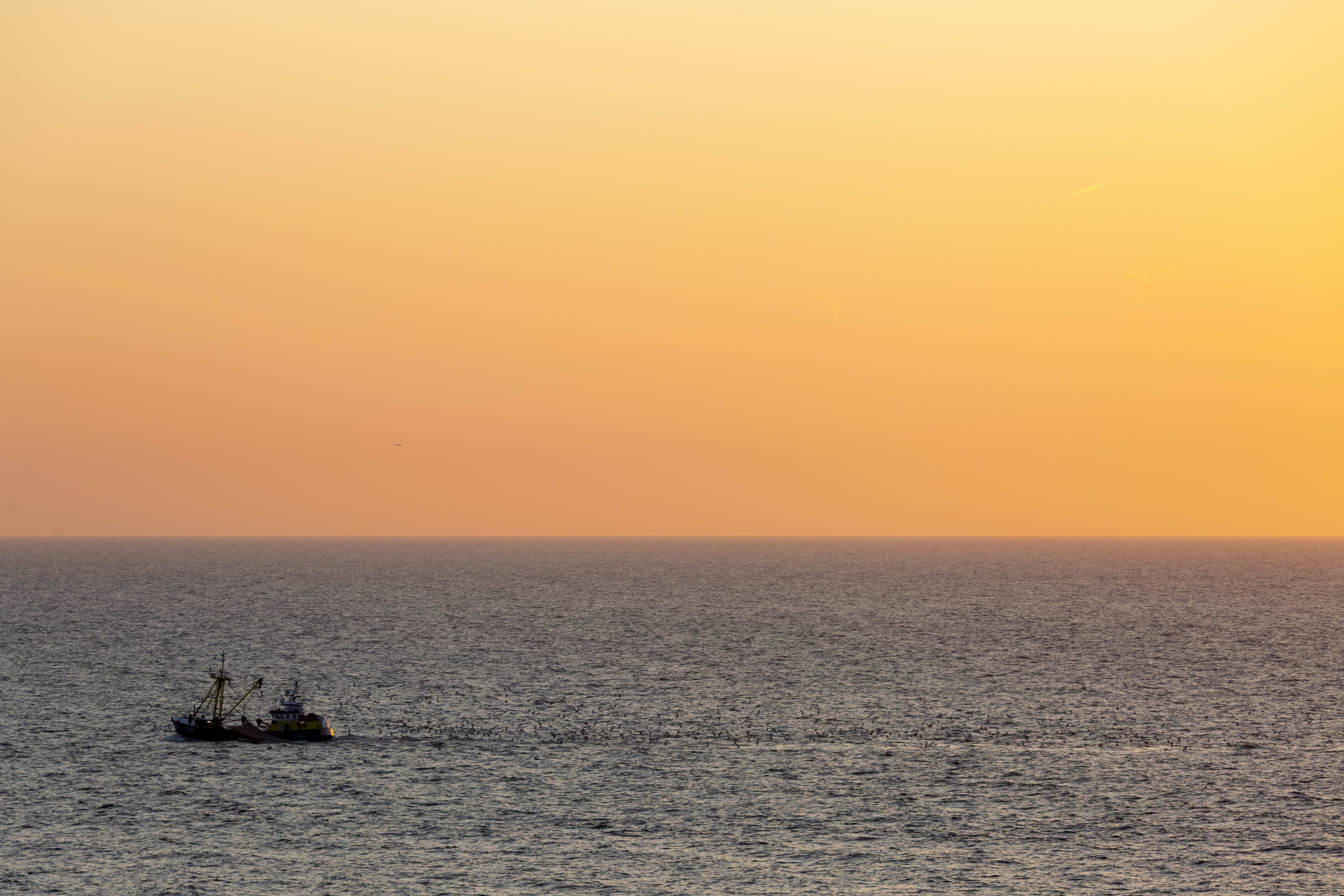 Urker viskotter gezonken voor de Franse kust, bemanning is gered