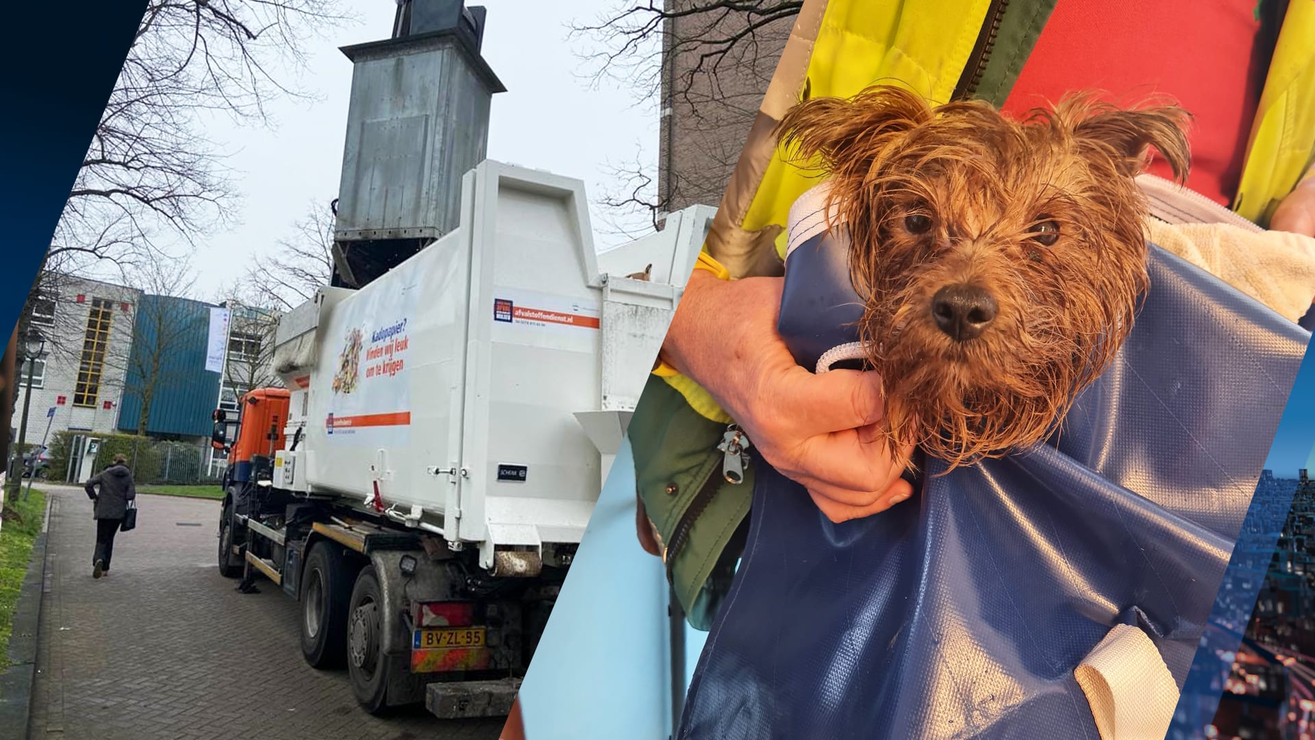 Bang en uitgedroogd hondje gevonden in ondergrondse afvalcontainer