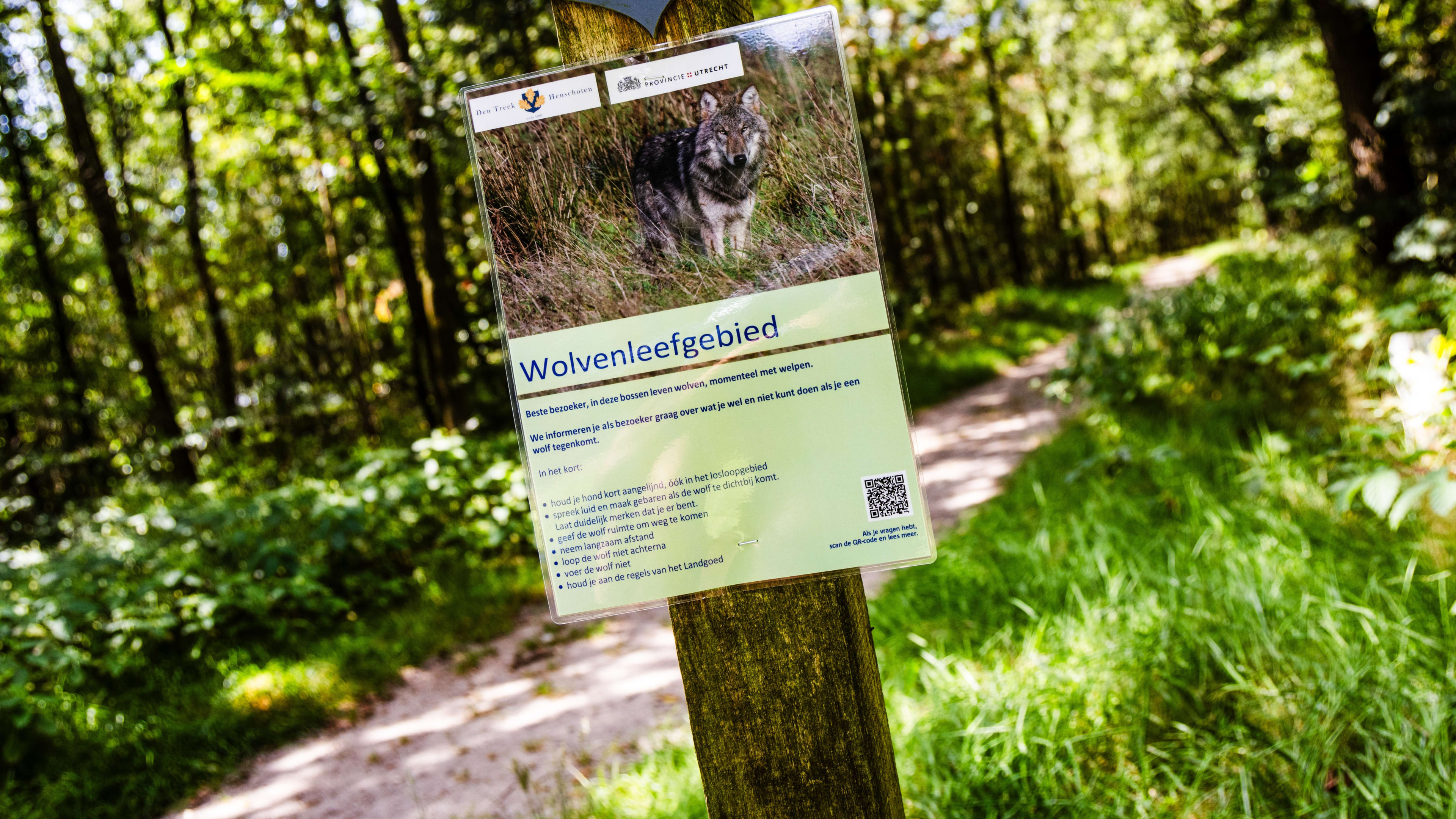 Landgoed bij Leusden weer open na wolvenincidenten