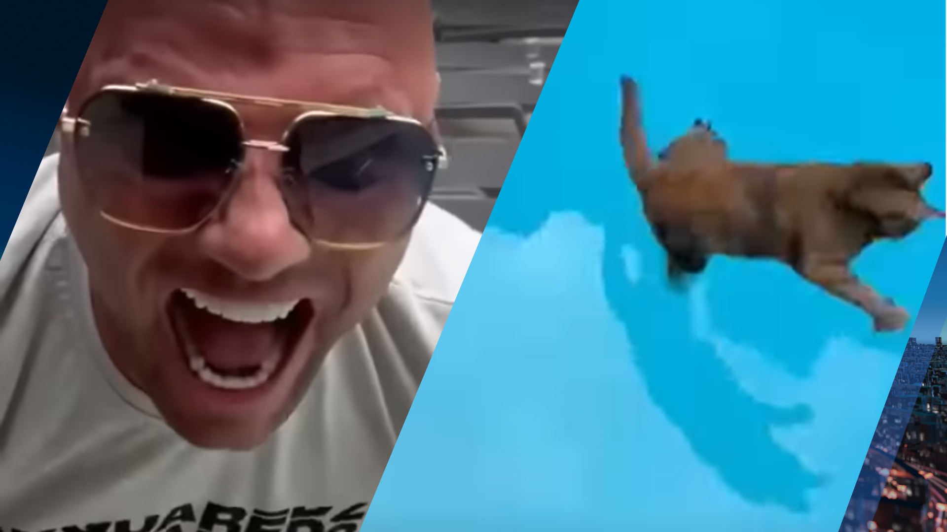 Woede om vlogger Alex Soze die kat in zwembad gooit: 'Hoe triest kun je zijn?'