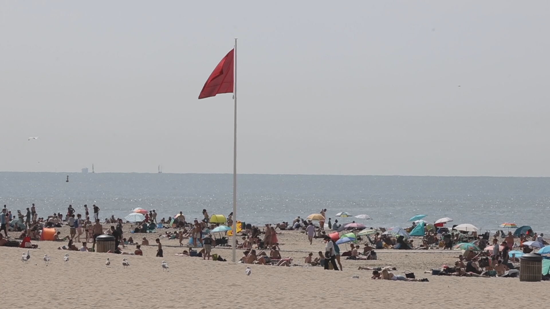 Reddingsbrigade Scheveningen redt twaalf zwemmers: ga niet de zee in!