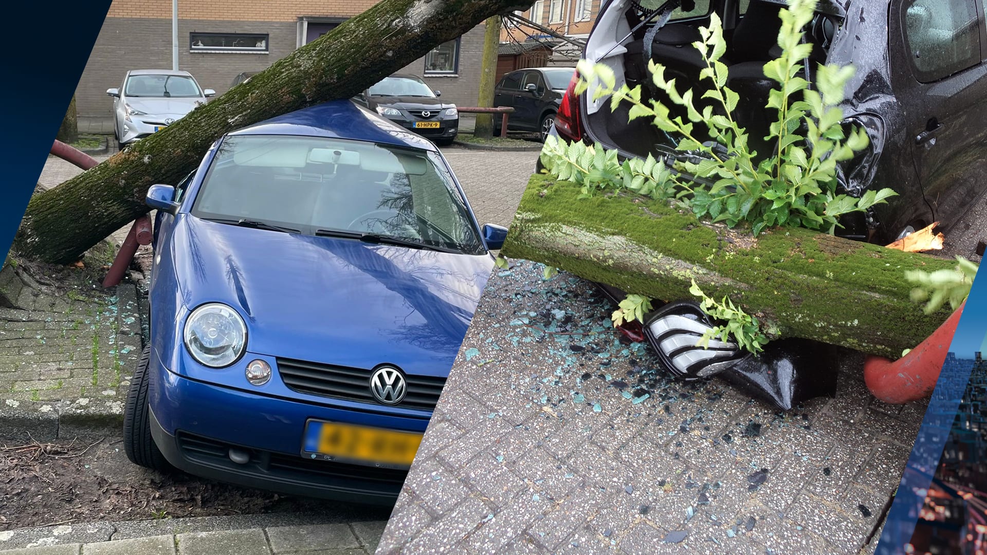 Dubbel pech: voor de tweede keer valt een boom op Joke's auto tijdens storm