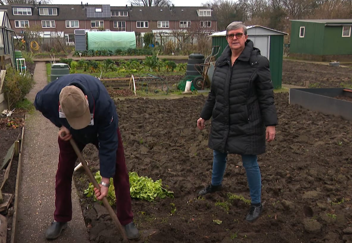 Flinke huurverhoging Amsterdamse moestuinen voorlopig van de baan