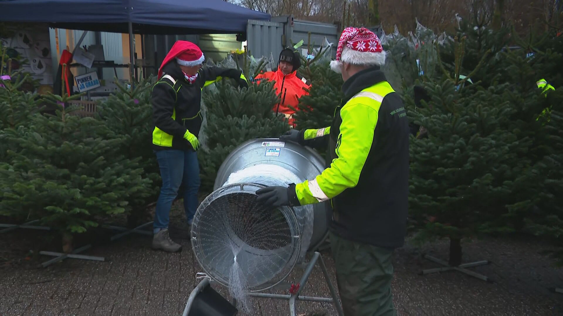 Kerstboomverkopers klaar voor de piek: 'Hoop er 100 tot 150 te verkopen'