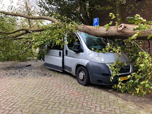 Rolstoelbus van 20-jarige Fynn total loss door omgewaaide boom: 'We kunnen nu geen kant op'