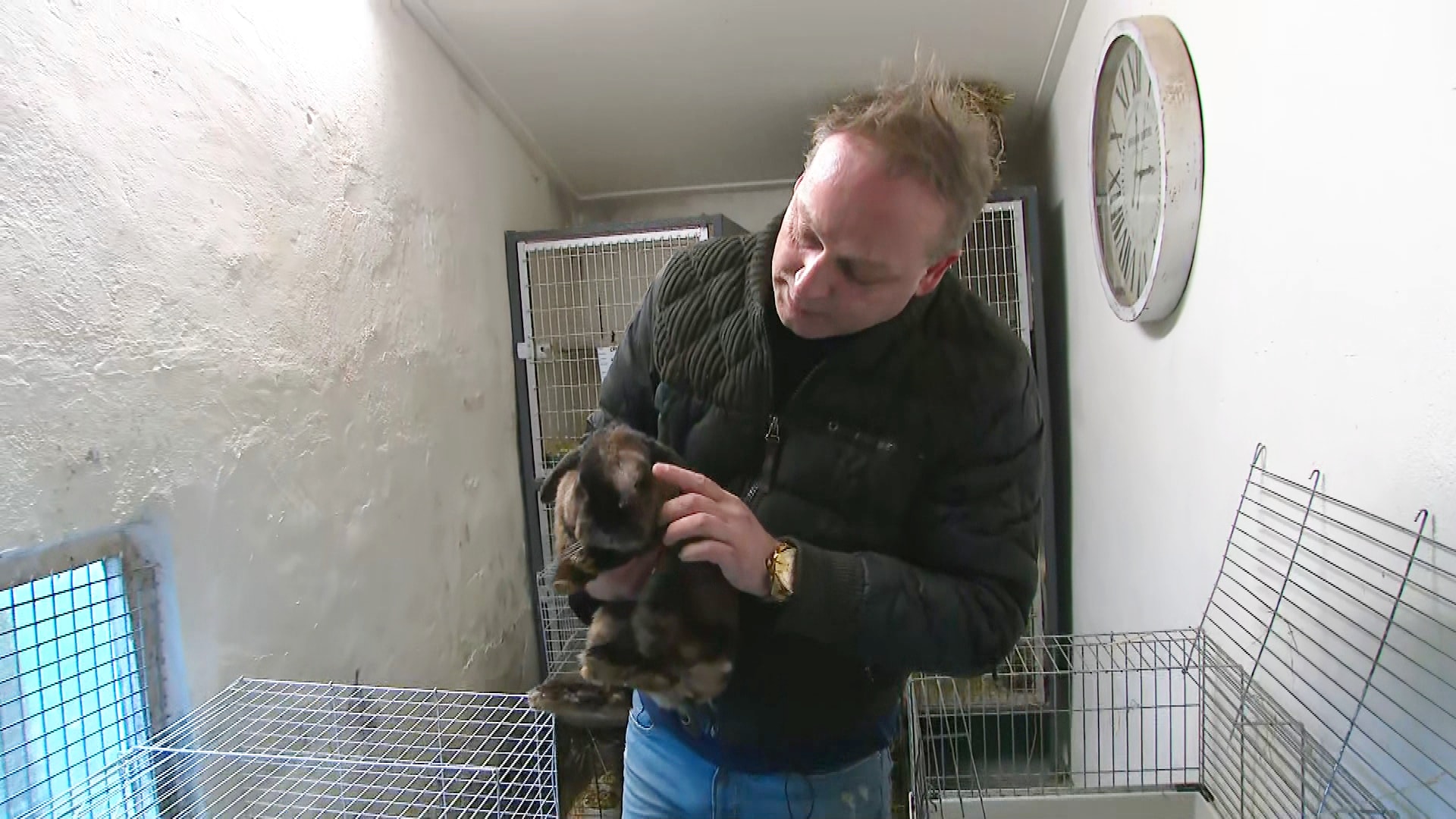 Carl van dierenopvang Flappus in shock na vondst 184 gedumpte dieren: 'Niet prettig' 