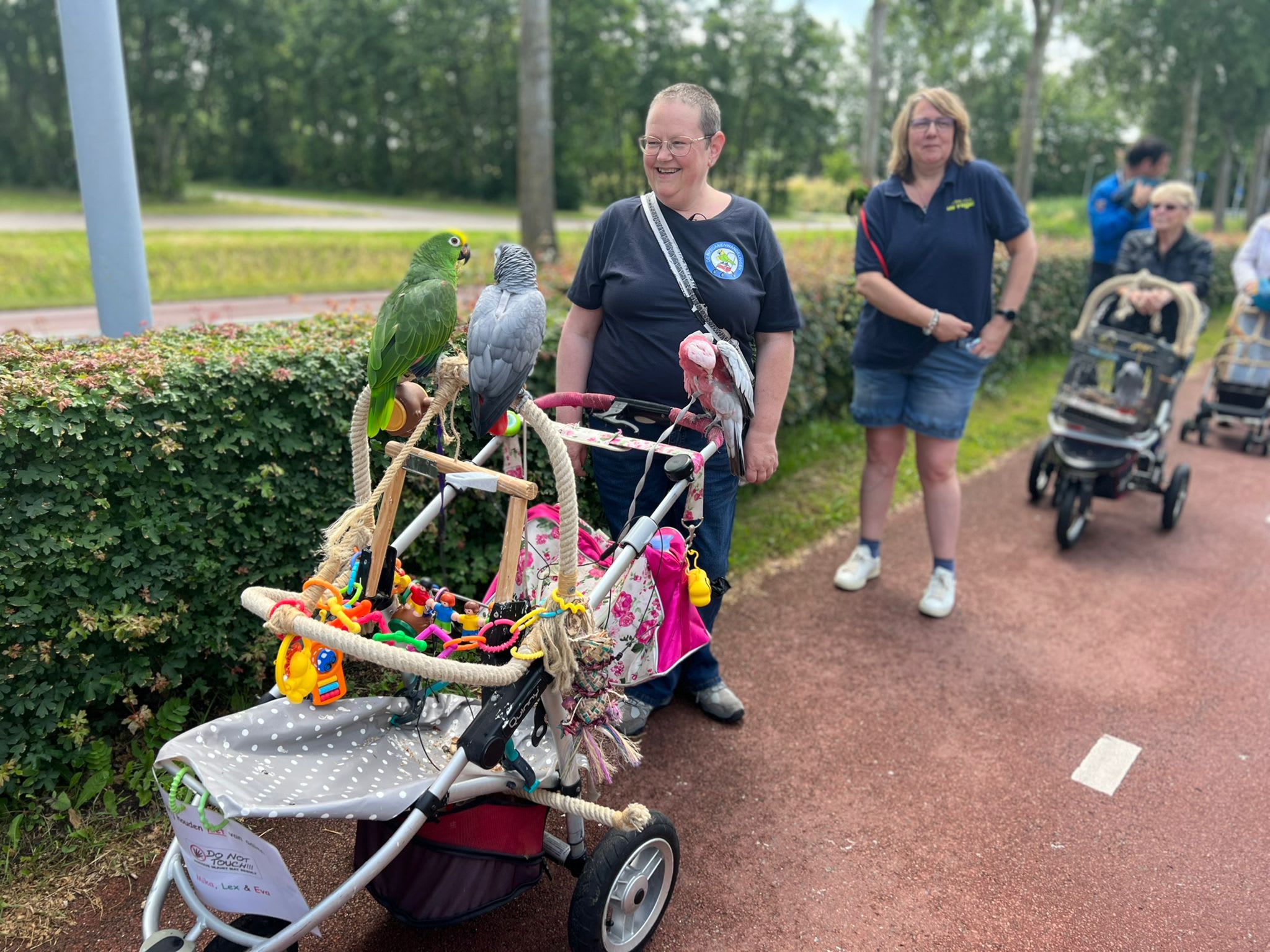 Wandelen met je papegaai in een buggy: 'Ze vinden het heerlijk!'