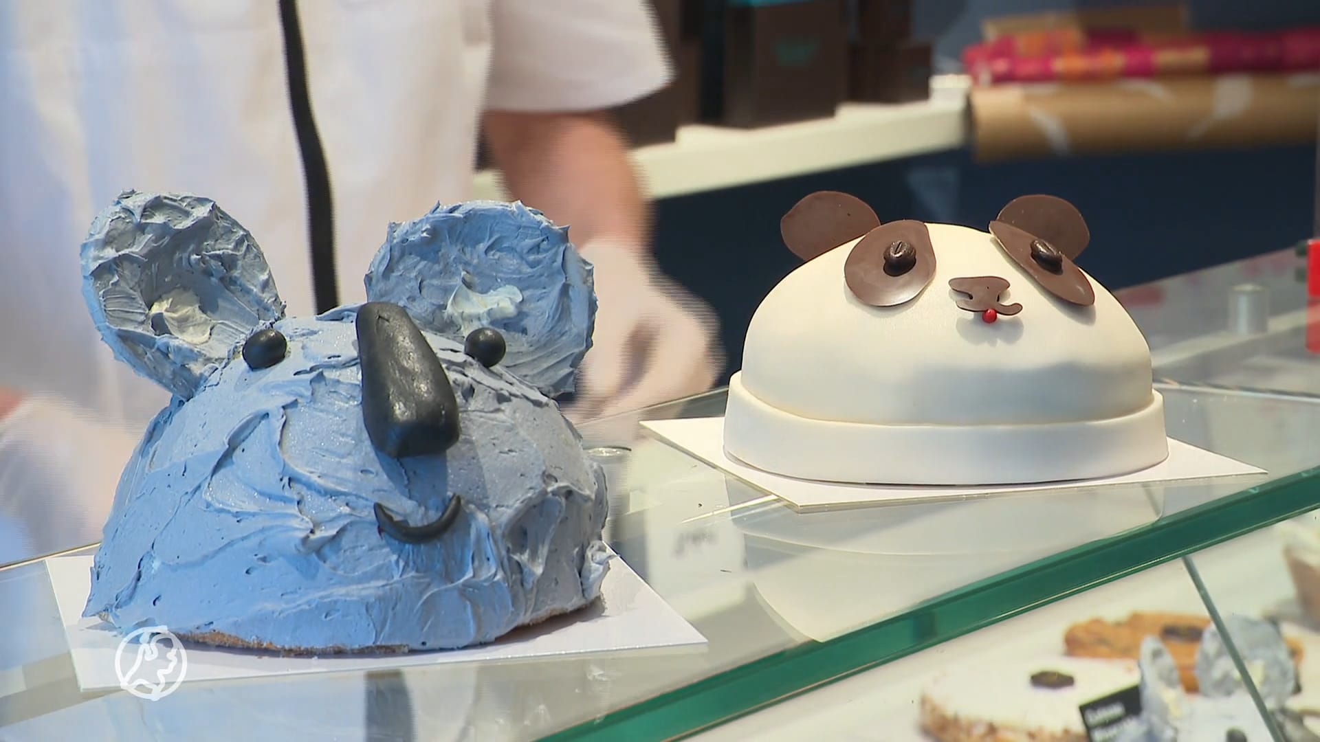 Koala-gekte in Rhenen: patisserie maakt speciale gebakjes voor opening nieuw verblijf