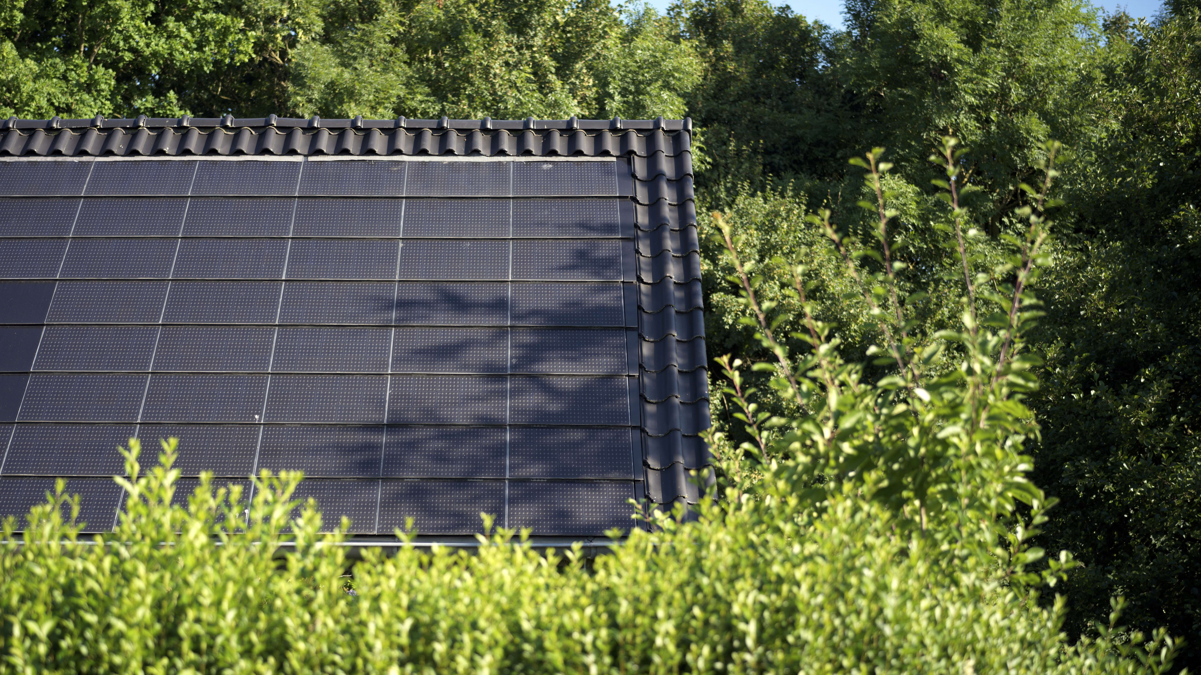 Bomen staan eigenaar zonnepanelen vaak in de weg, maar kappen mag niet