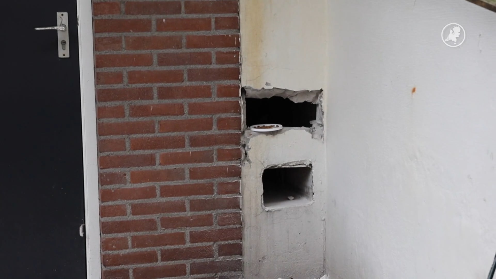 Dagenlang vast in regenpijp: poes Kenya gered door brandweer met gaten in muur