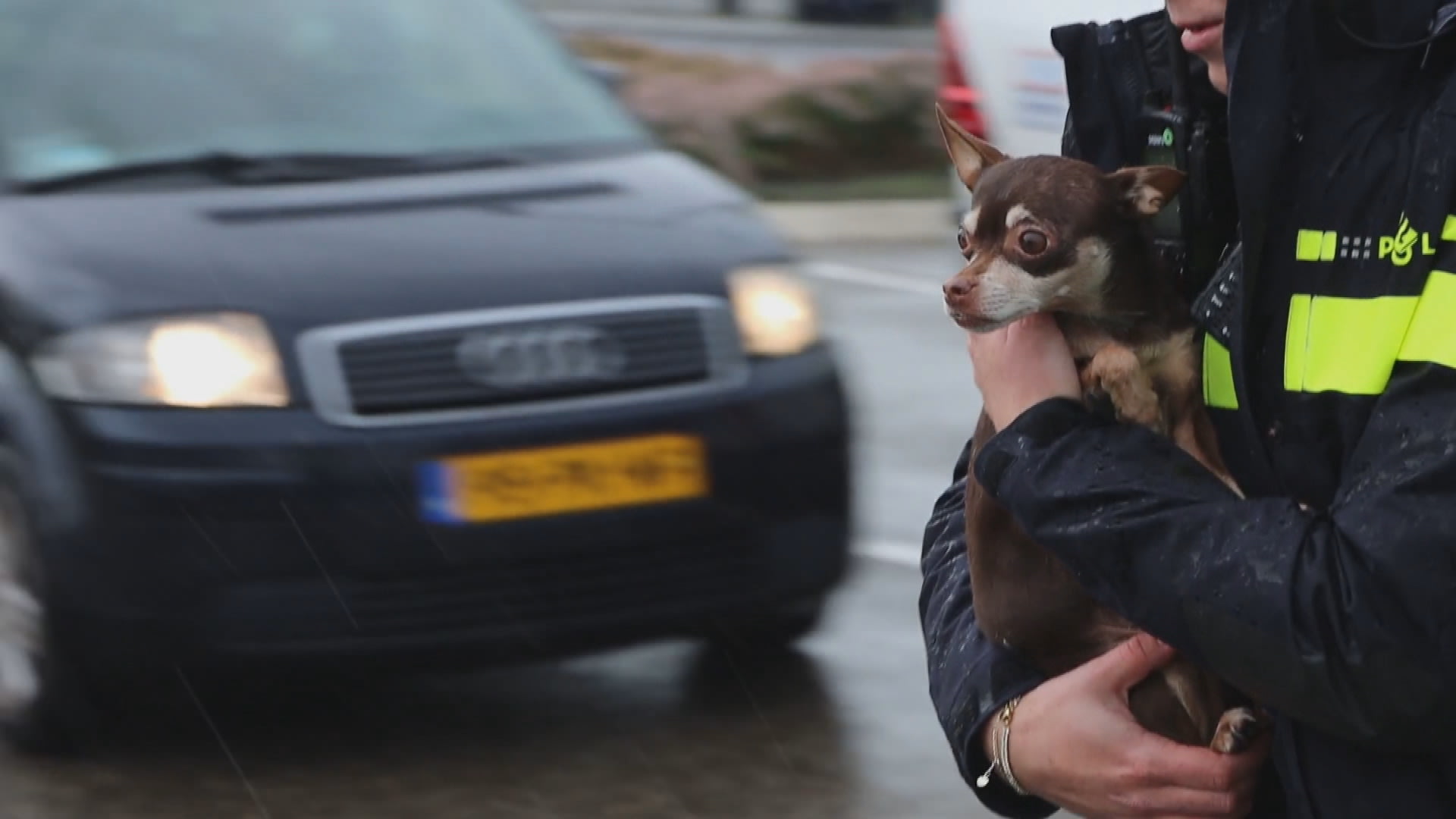Auto met kinderen en hondje gelanceerd in verkeerspaal 