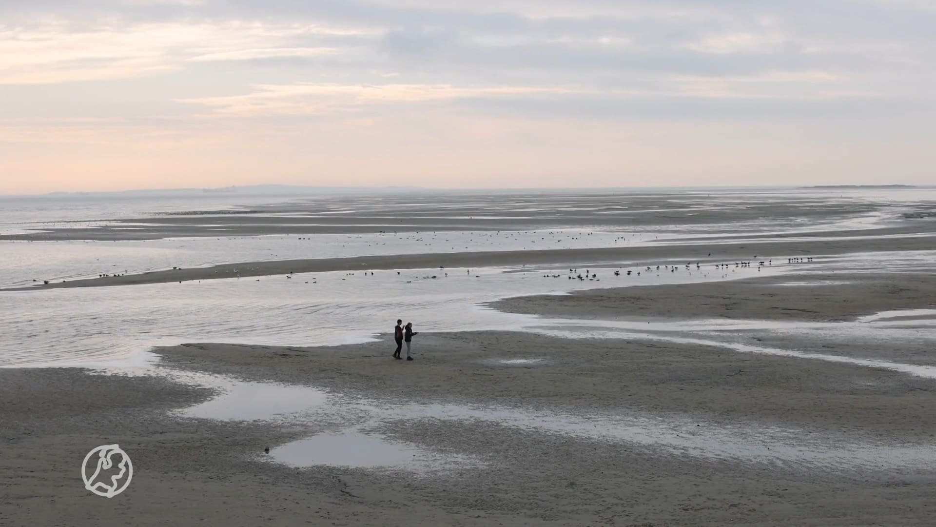 Ondernemers willen mensen verleiden op Terschelling te komen wonen met vacatures