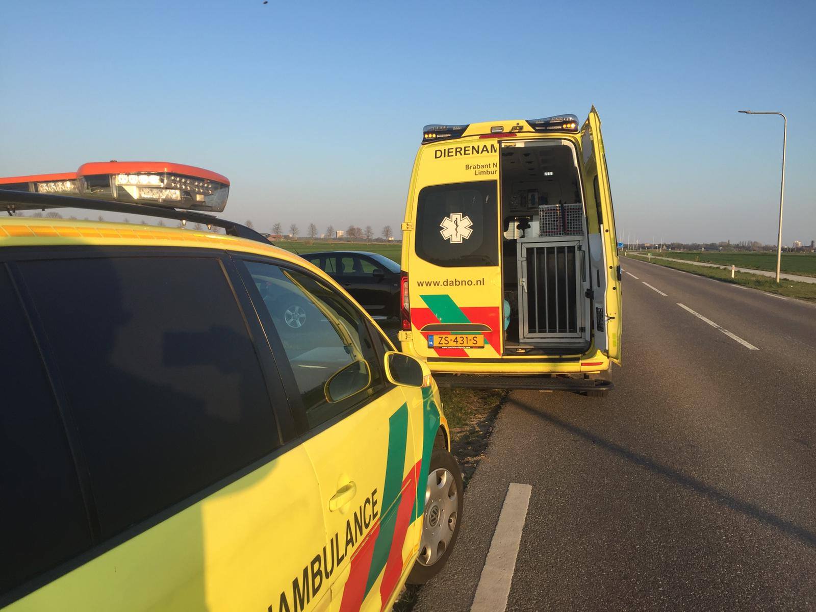 Dier in nood? Ook dierenambulances niet bereikbaar vanwege storing Odido
