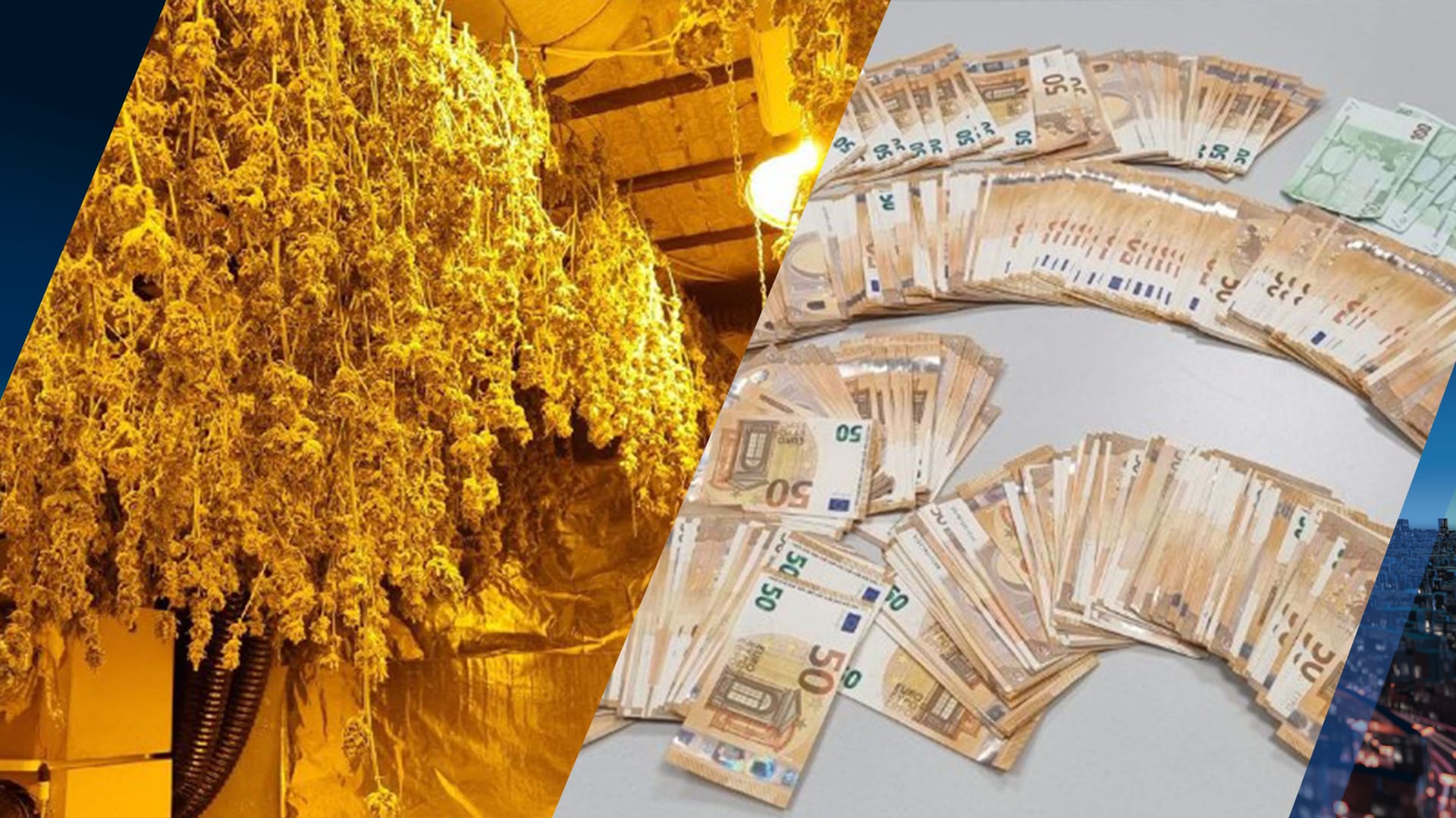Hennepkwekerij, dure spullen en duizenden euro's contant geld gevonden in woning Sint Willebrord