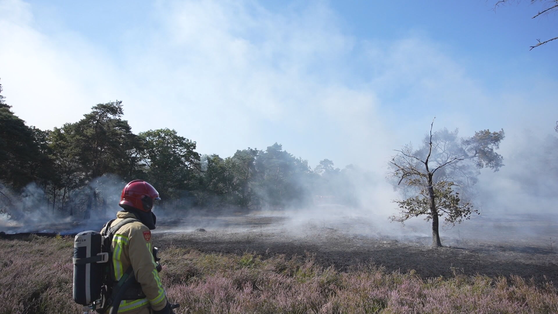 Nederlandse natuurgebieden getroffen door brand: hectares in vlammen op