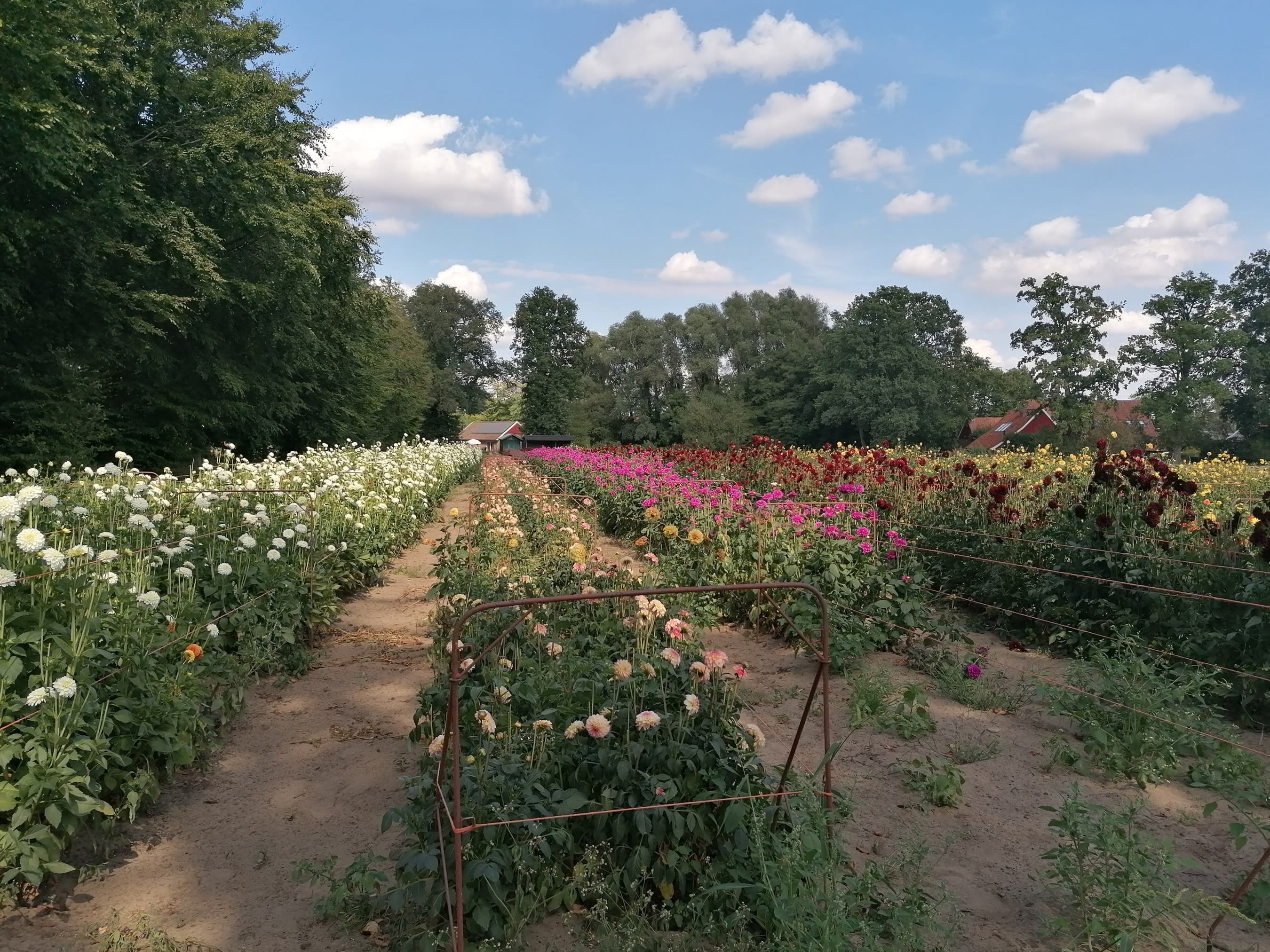 Meteorologische herfst begint droog met volop zonneschijn