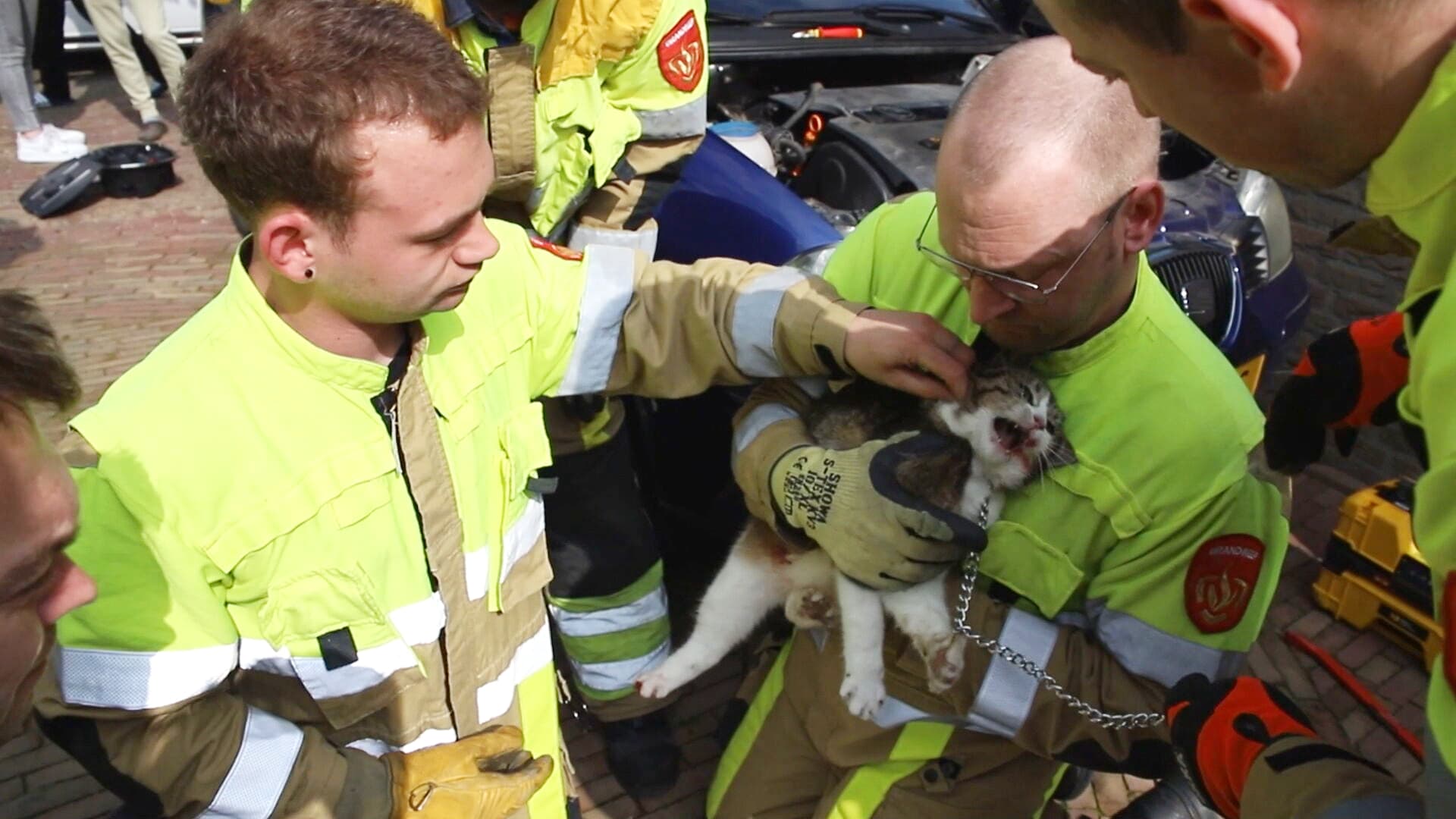 Kat zit vast onder de motorkap van een auto, brandweer redt dier uit benarde positie