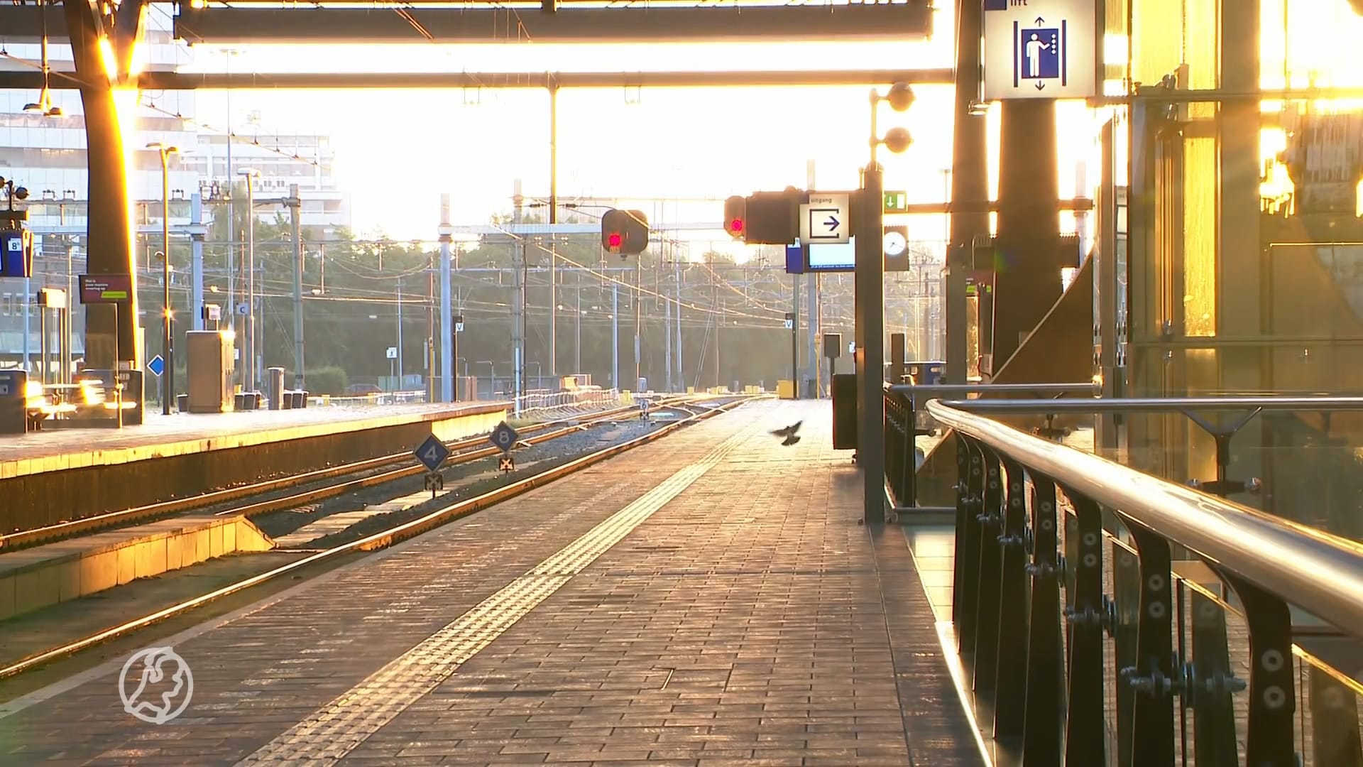 Minder treinen Amsterdam-Rotterdam door 'beginnende scheurvorming' in viaducten en bruggen