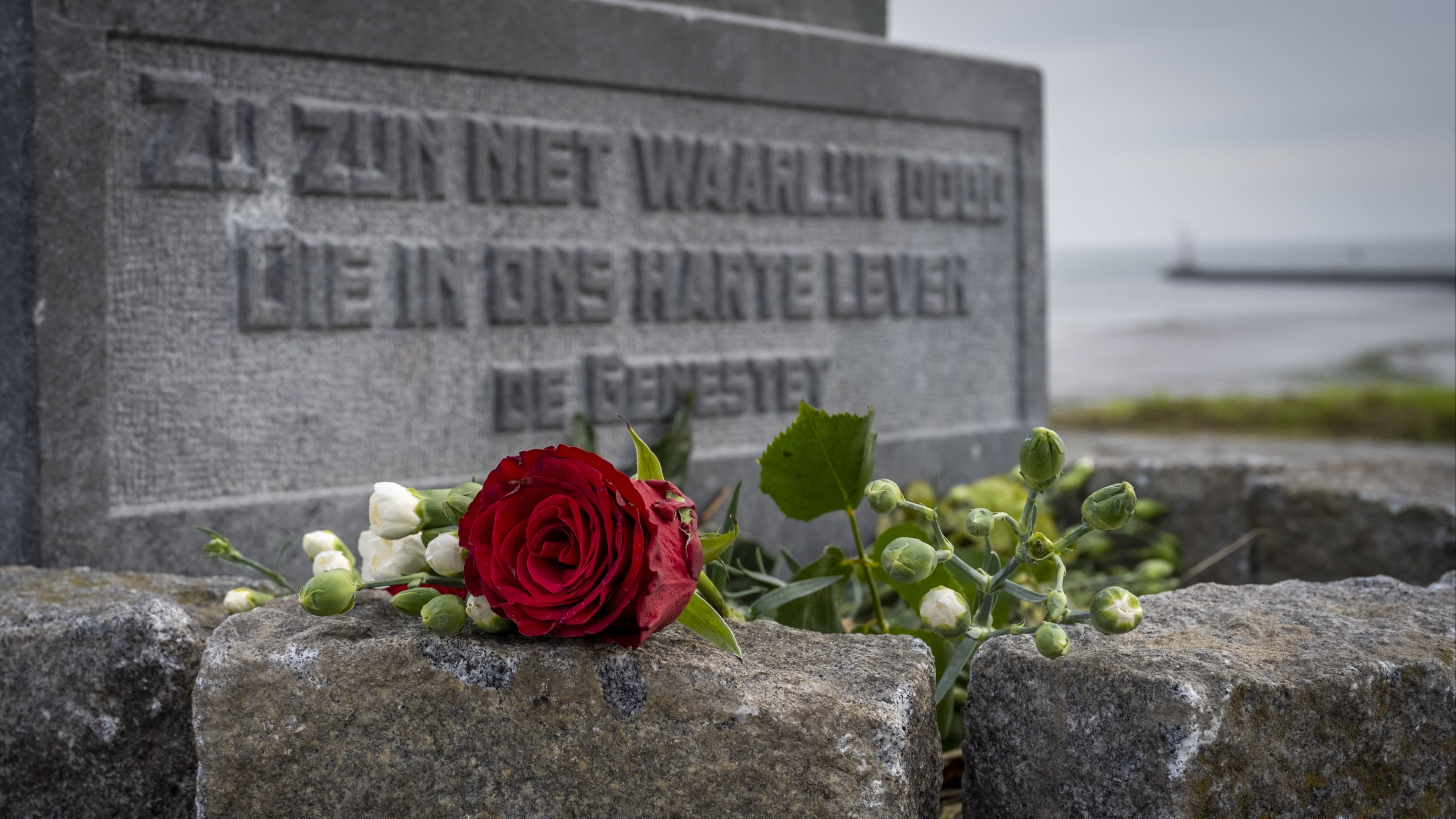 Schippers Terschelling hadden vlak voor fatale aanvaring contact met elkaar