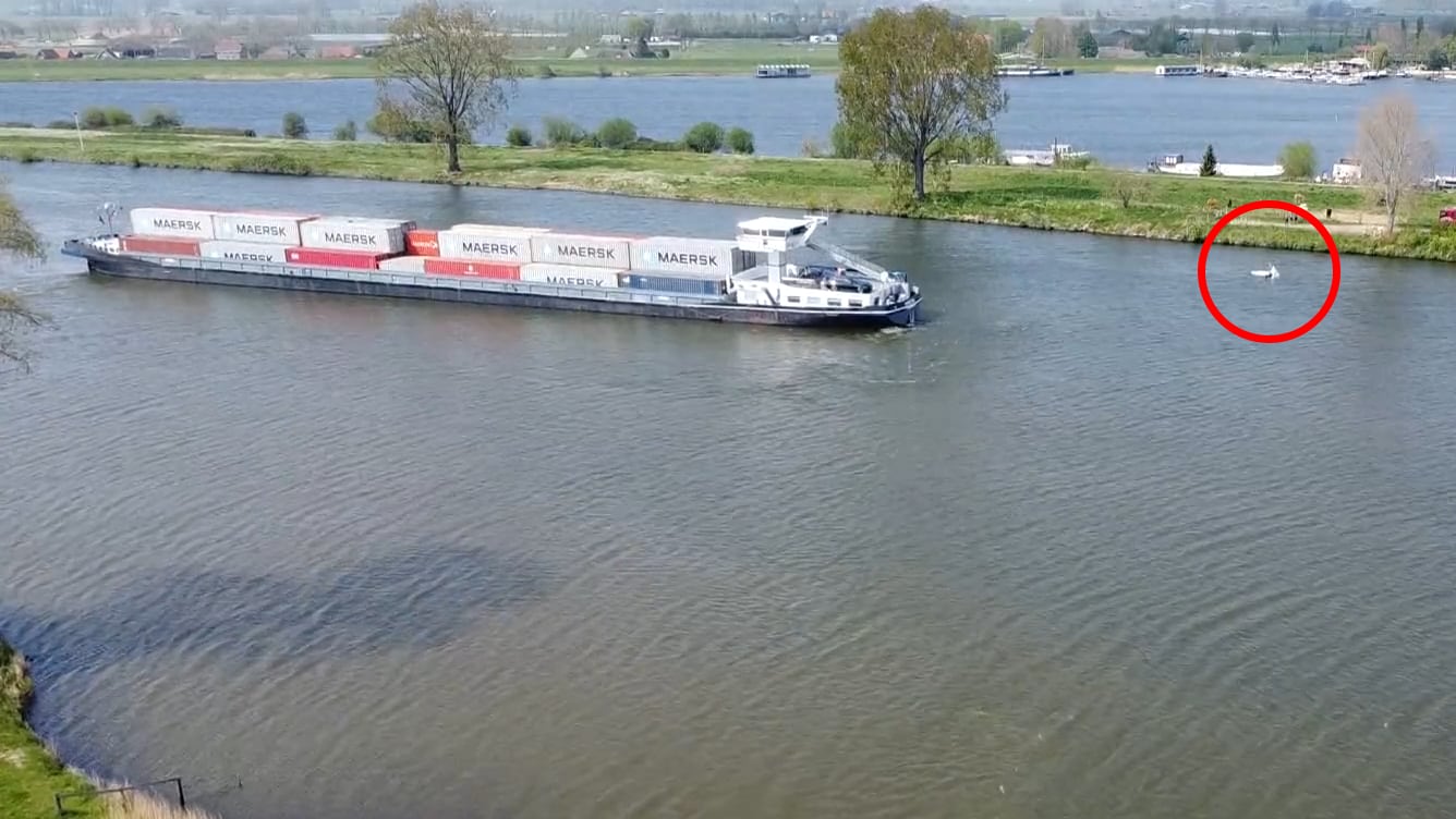 Plezierjacht overvaren door containerschip op Maas: meerdere opvarenden in water