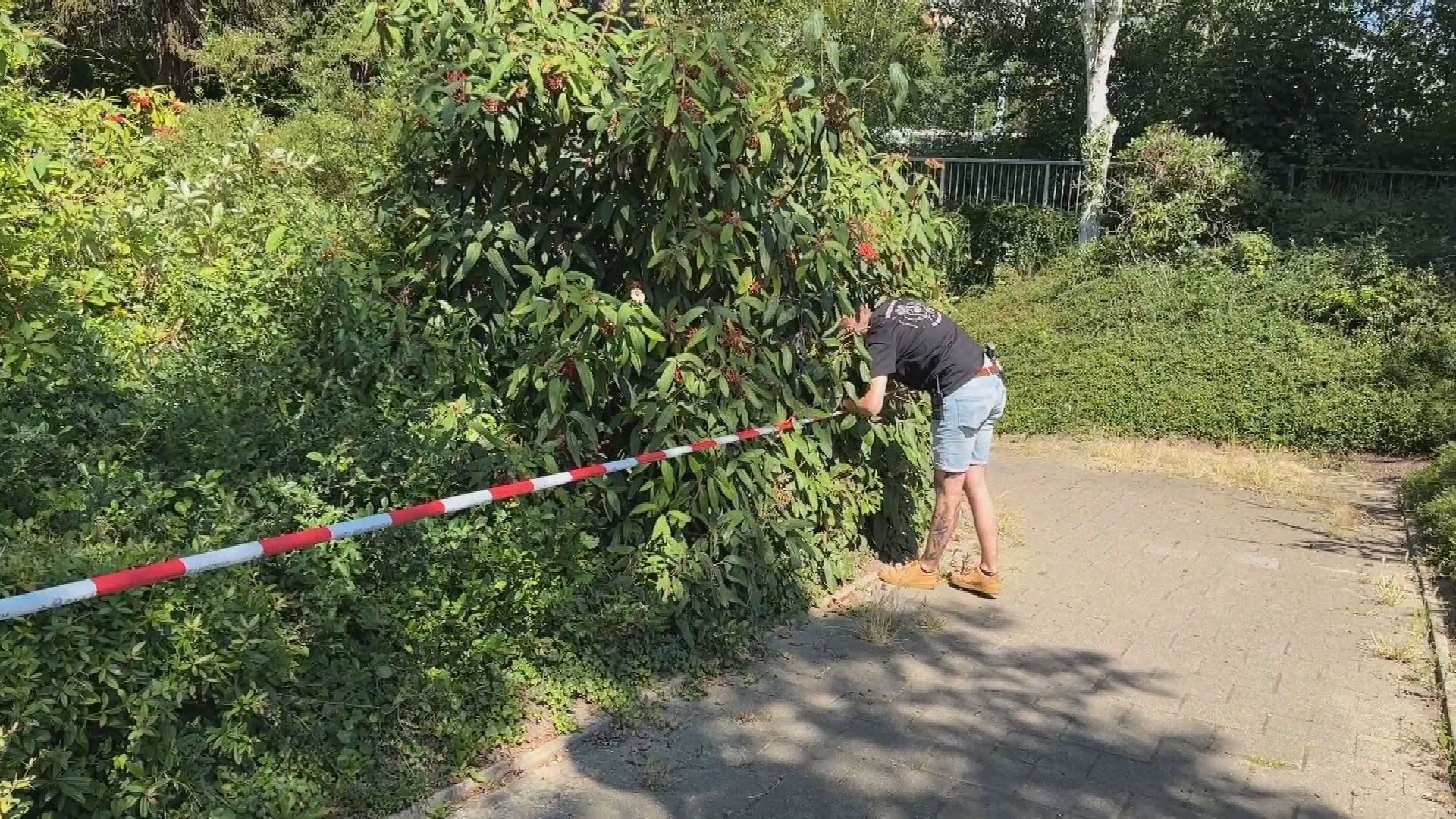 Vrouw (51) neergestoken in Heerlen: verdachte meldt zich op politiebureau