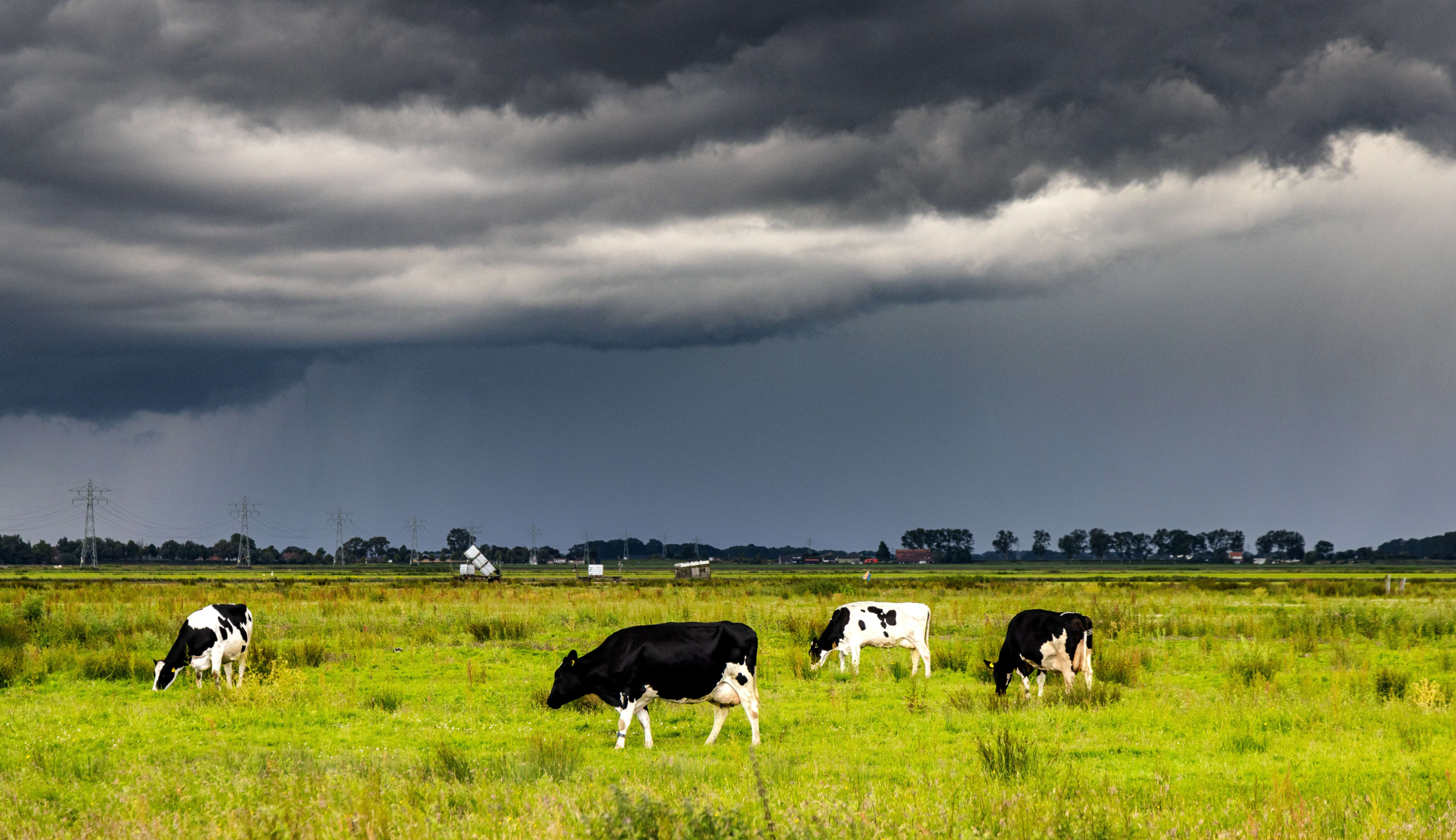 Veel bewolking en een spat regen, vanaf volgende week weer zomers weer