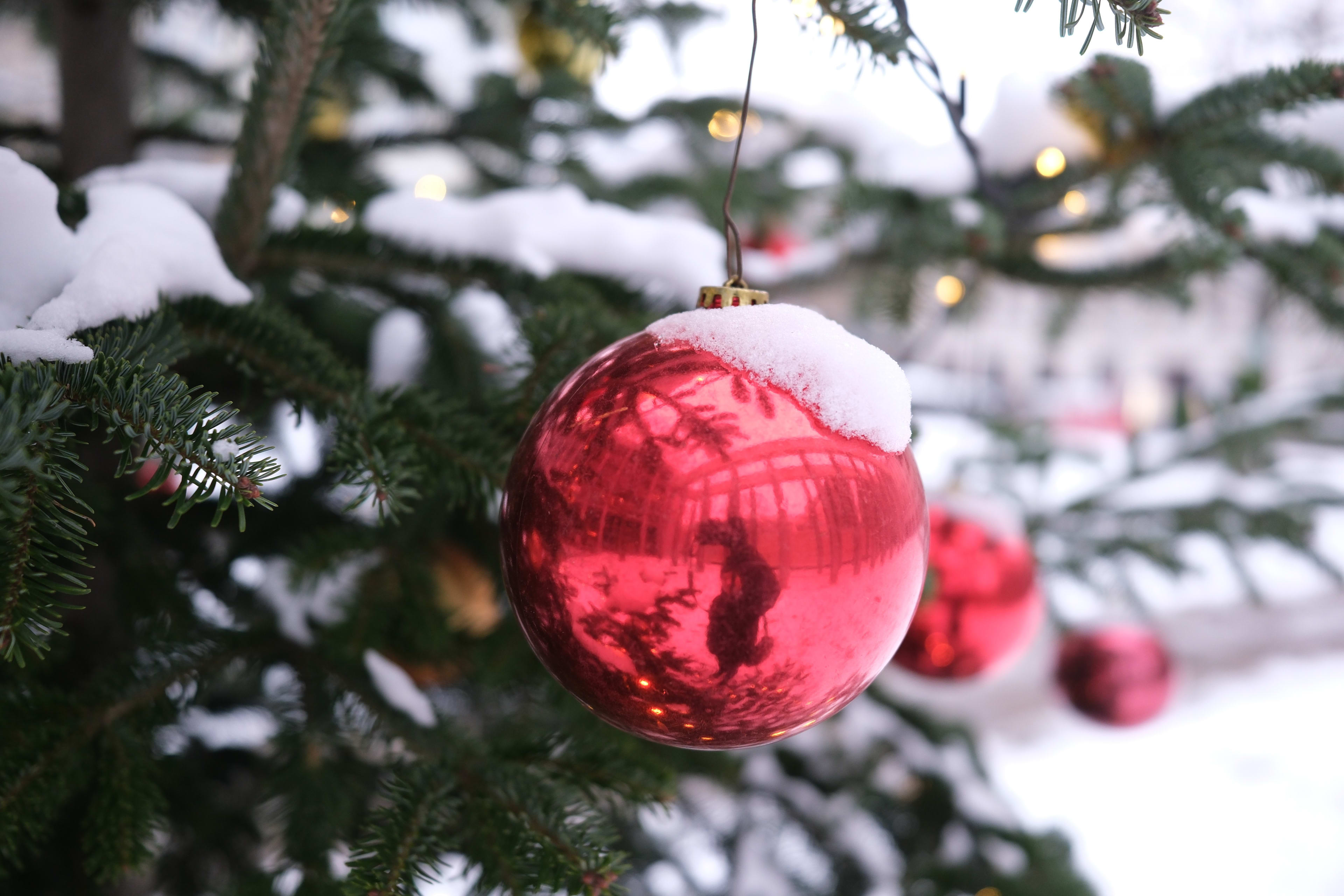 Zit er dit jaar dan eindelijk weer een witte Kerst in?