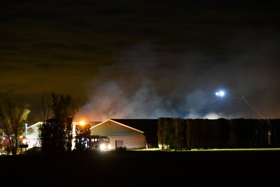 Tientallen varkens omgekomen bij grote stalbrand in Poortvliet