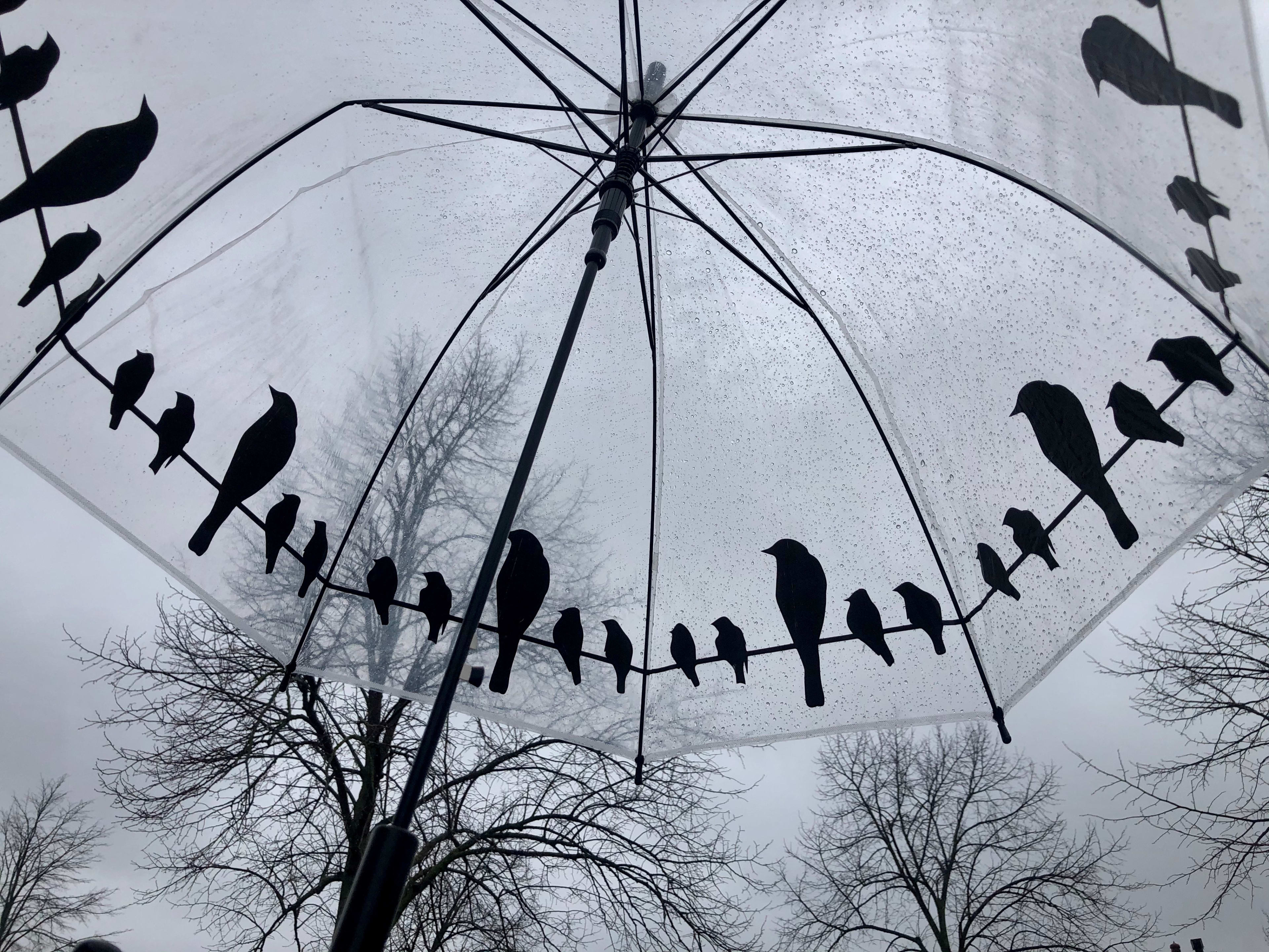 Het weer van vandaag: veel bewolking, in het noorden regenachtig