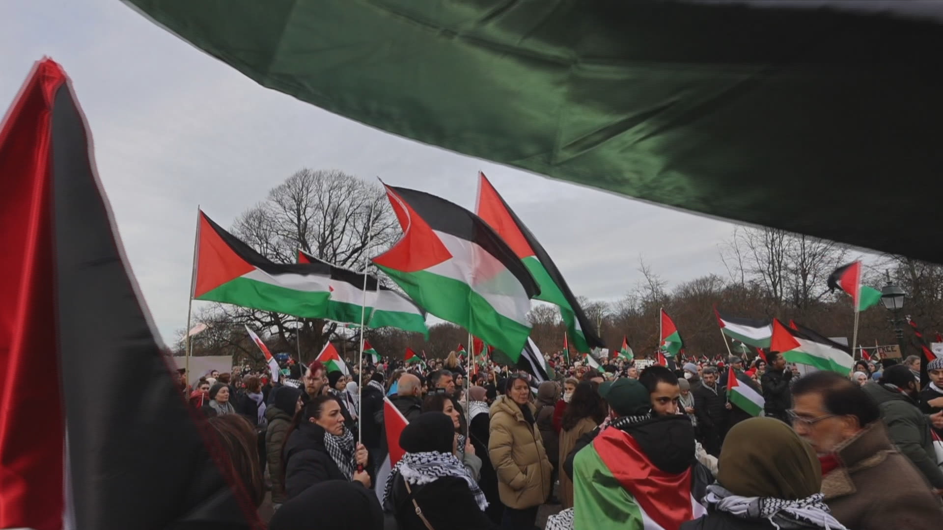 Honderden betogers in Den Haag eisen staakt-het-vuren in Gaza