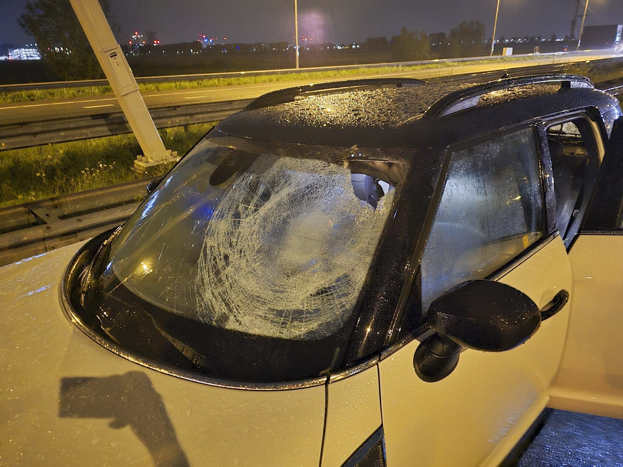 Gans vliegt door voorruit auto op A4 bij Hoofddorp, vrouw raakt gewond 